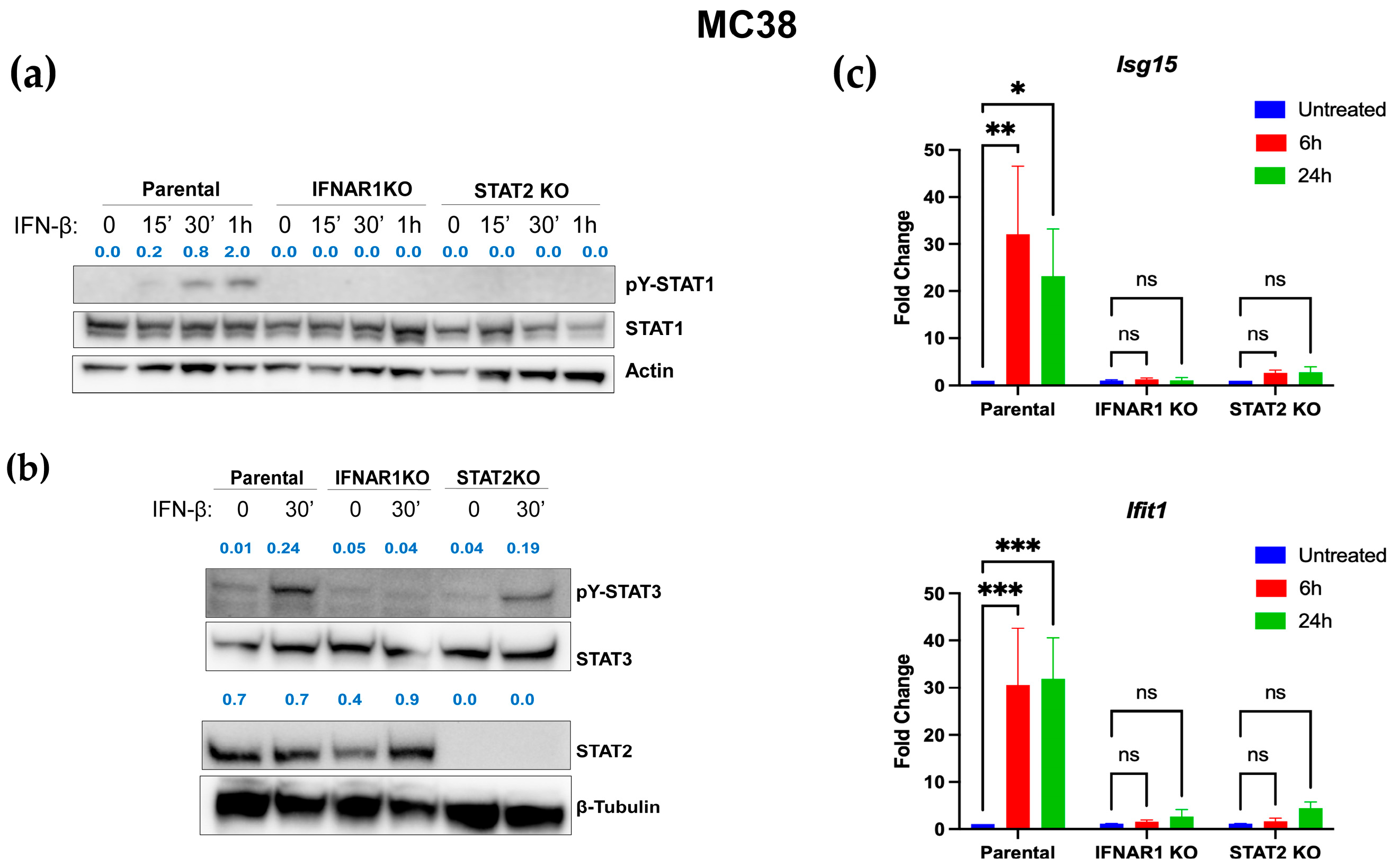 Curroncol 32 00707 g004