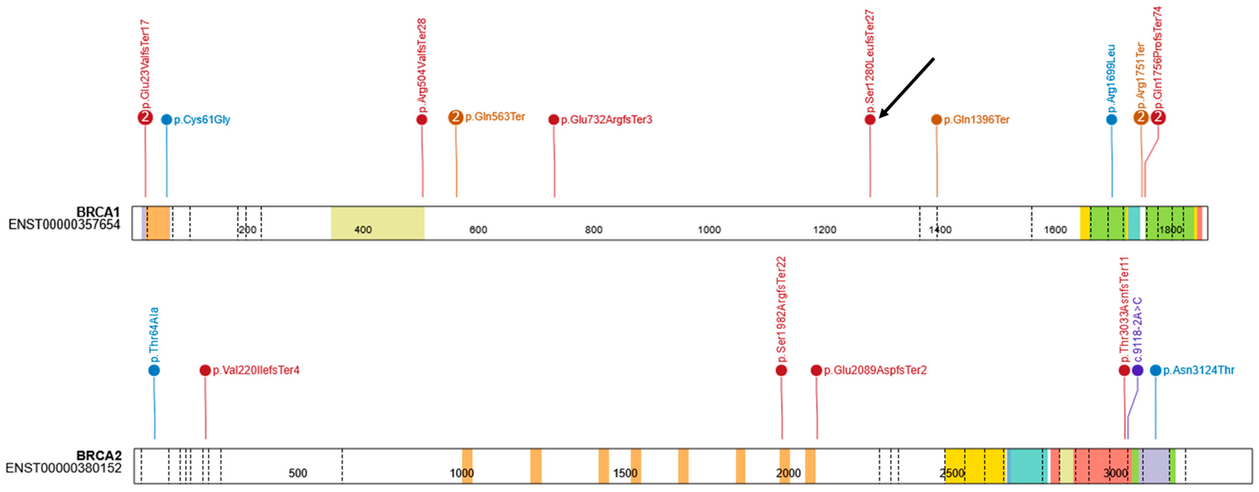 Curroncol 33 00010 g002