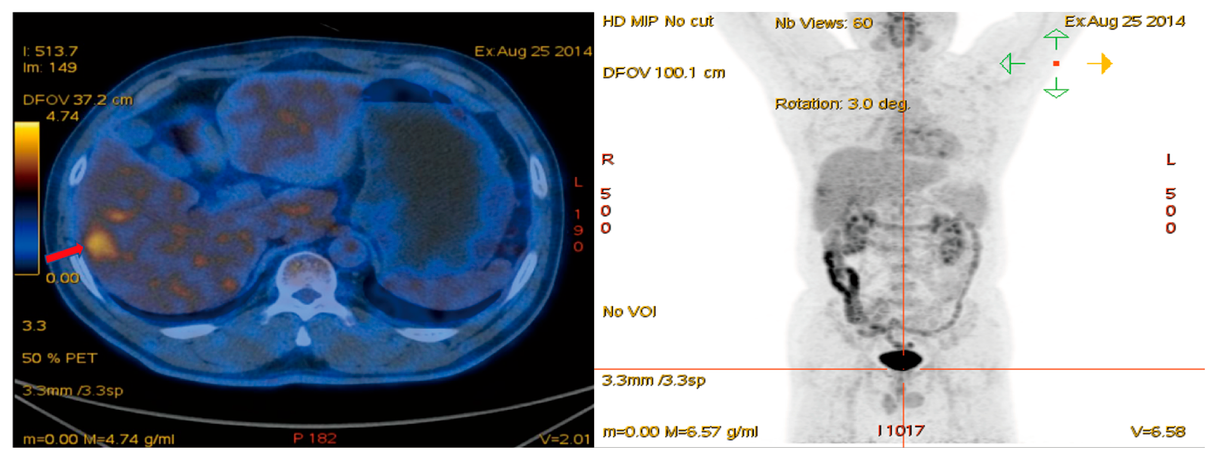 Curroncol 33 00013 g002