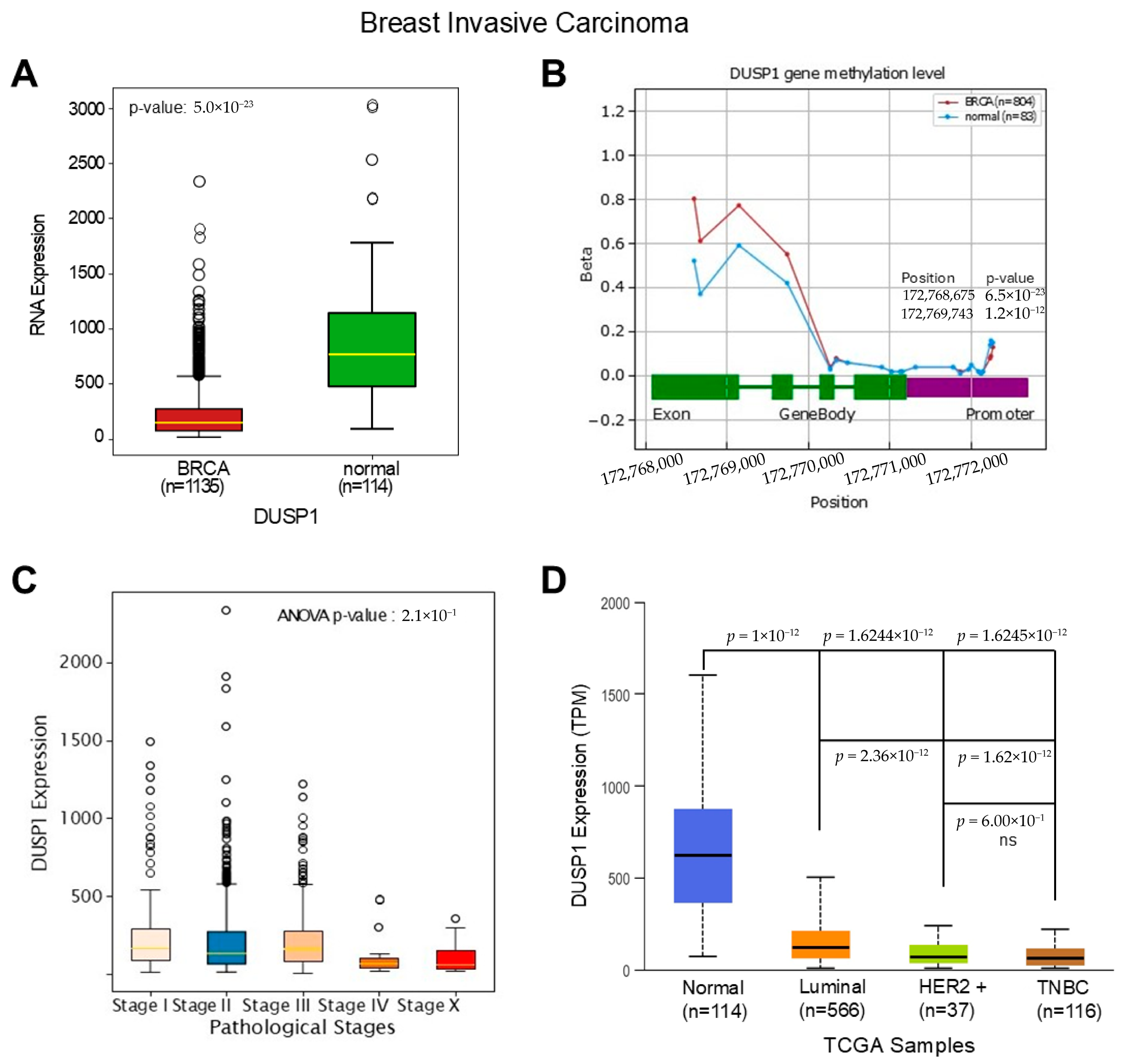 Curroncol 33 00082 g001