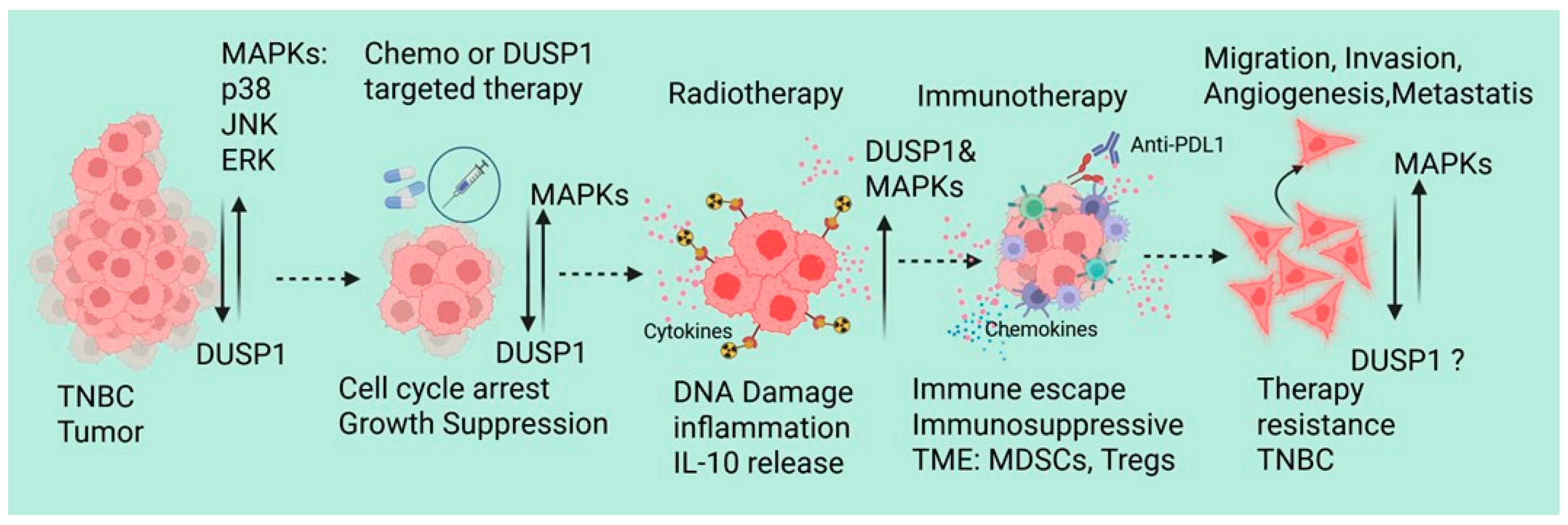 Curroncol 33 00082 g003