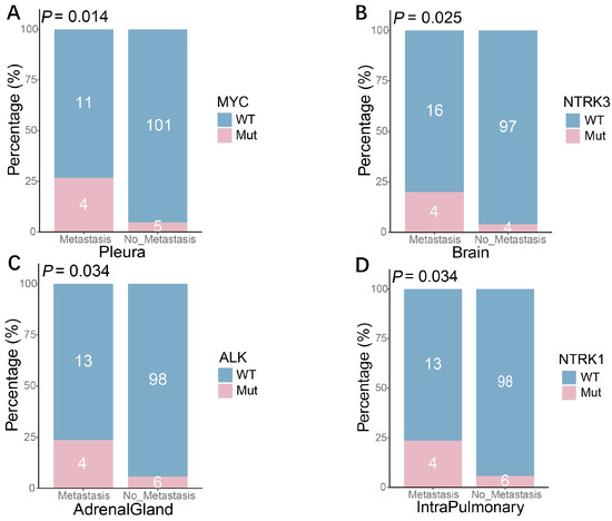glutathione mutations in sclc patients Mutational Landscape and Treatment Response Extensive-Stage Small-Cell Lung Cancer: A Single-Center Real-World Analysis copper