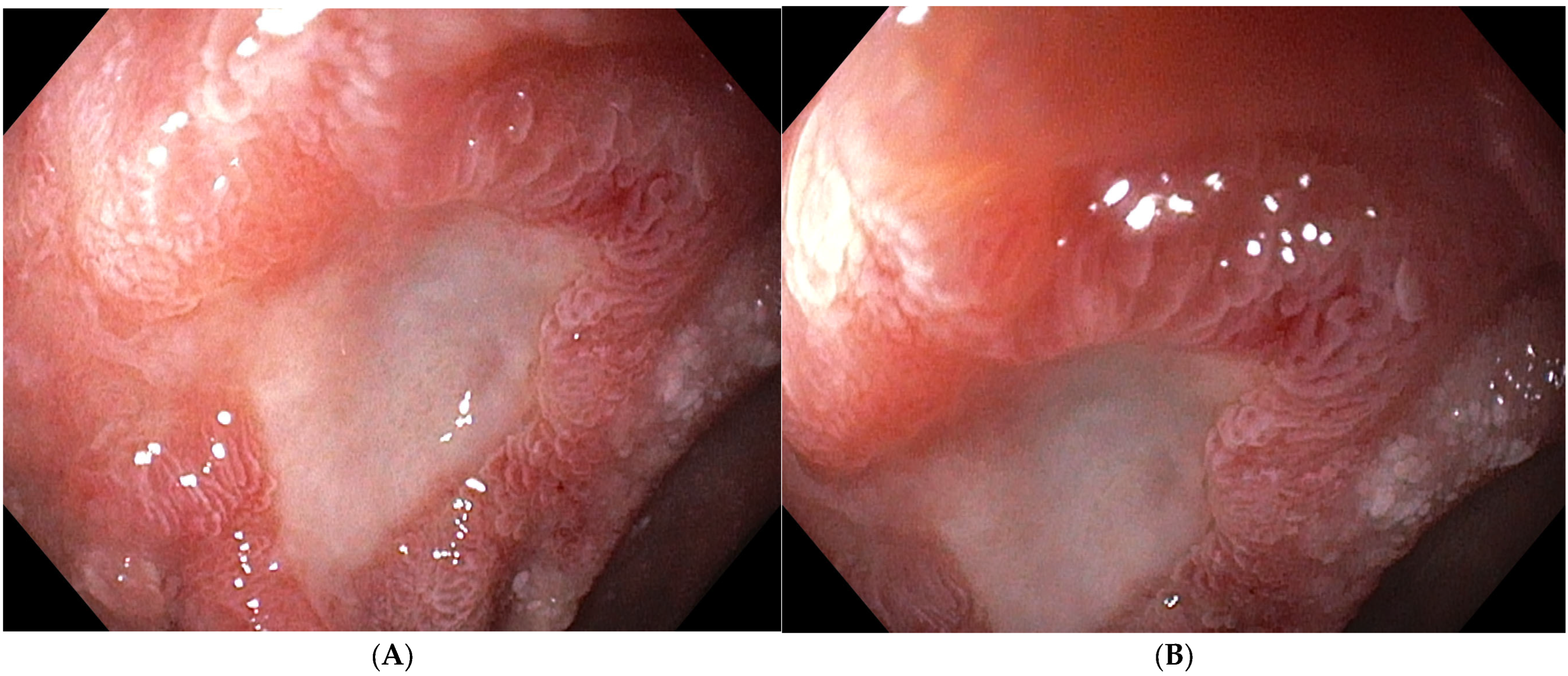 Curroncol 33 00459 g002