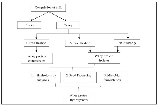 isoelectric point of milk