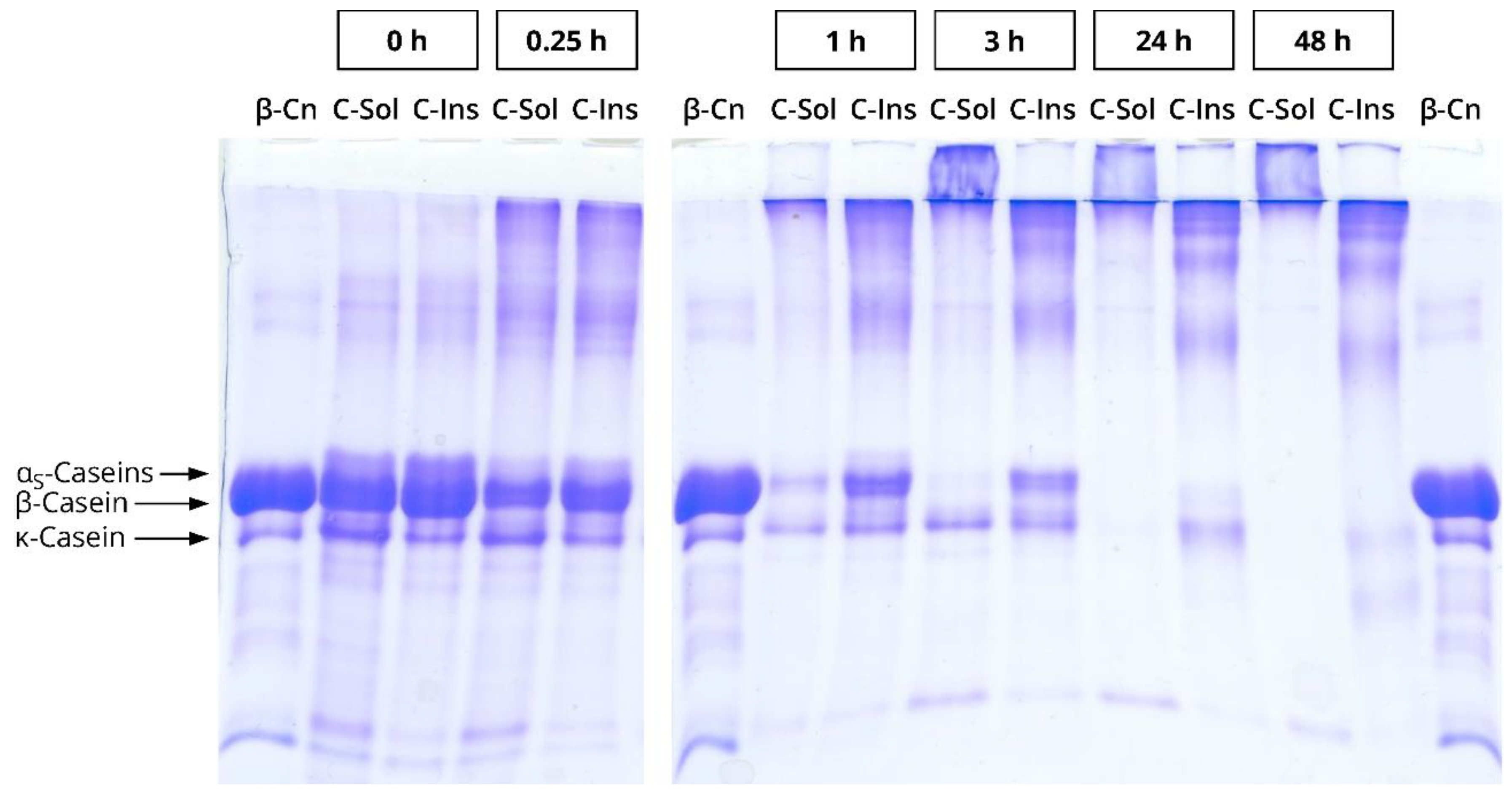 Dairy 02 00014 g0a1 Dairy 02 00014 g0a1
