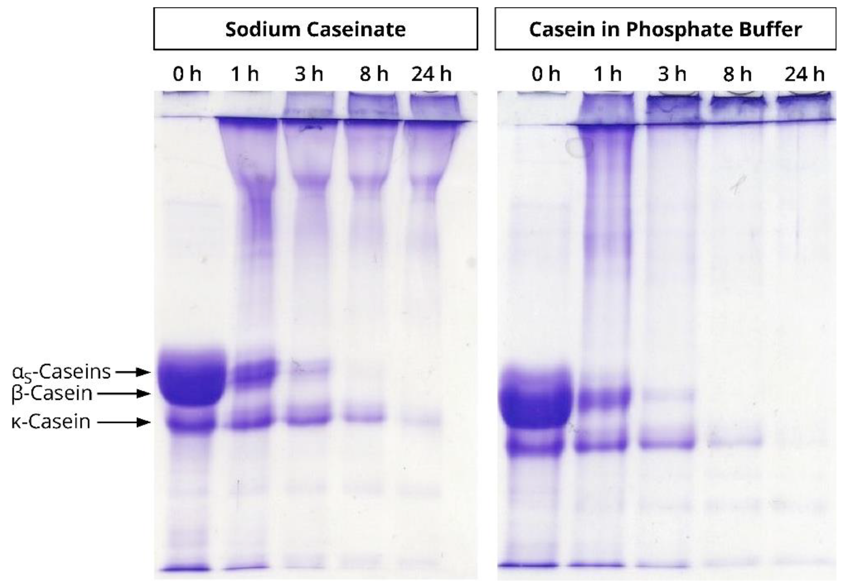 Dairy 02 00014 g0a2 Dairy 02 00014 g0a2