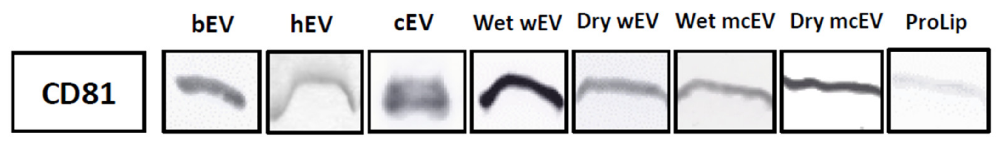 Dairy 02 00015 g001 Dairy 02 00015 g001