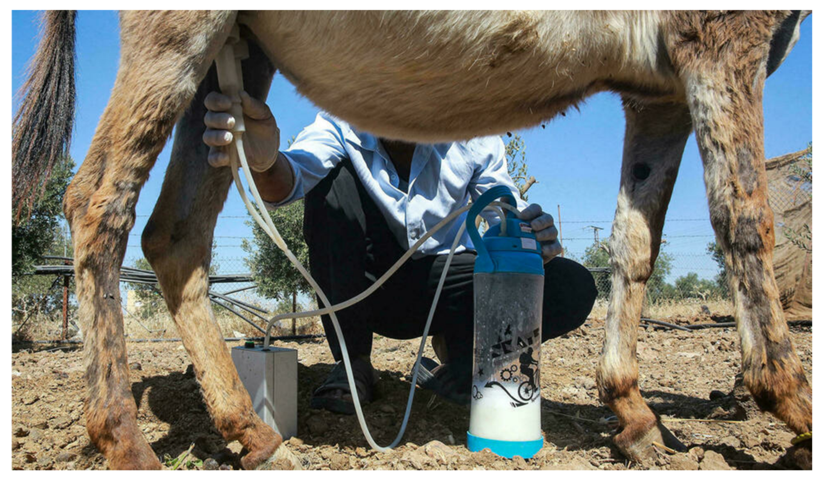 Dairy 03 00019 g003 Dairy 03 00019 g003