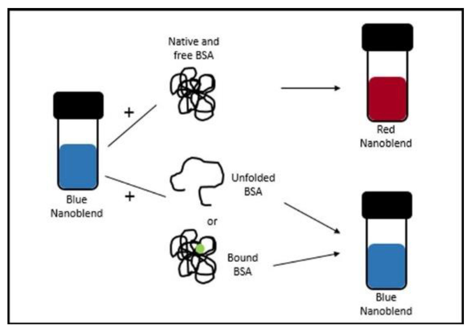 Dairy Free FullText Thermal Denaturation of Milk Whey Proteins A