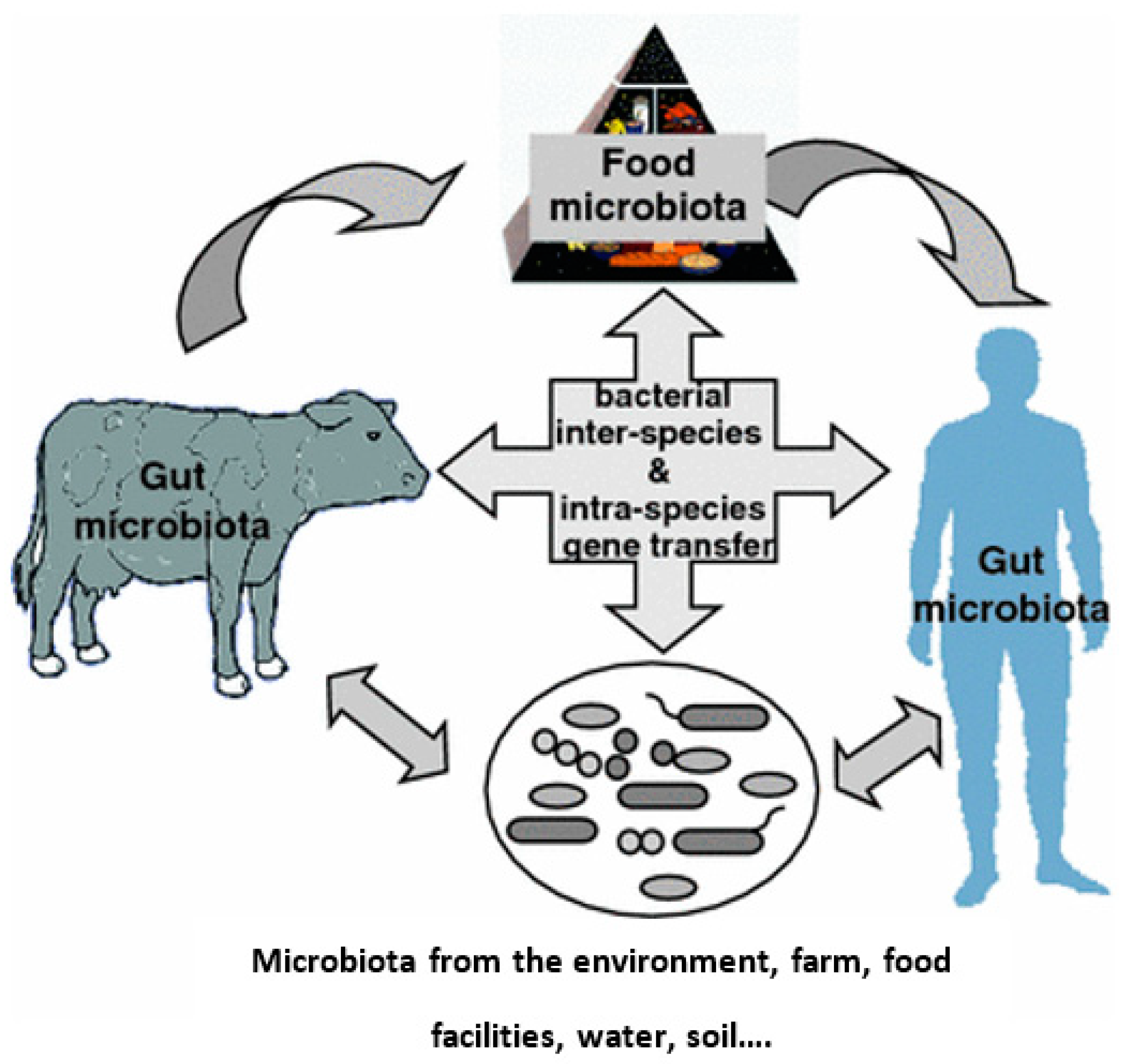Dairy Free FullText Antibiotics in Dairy Production Where Is the