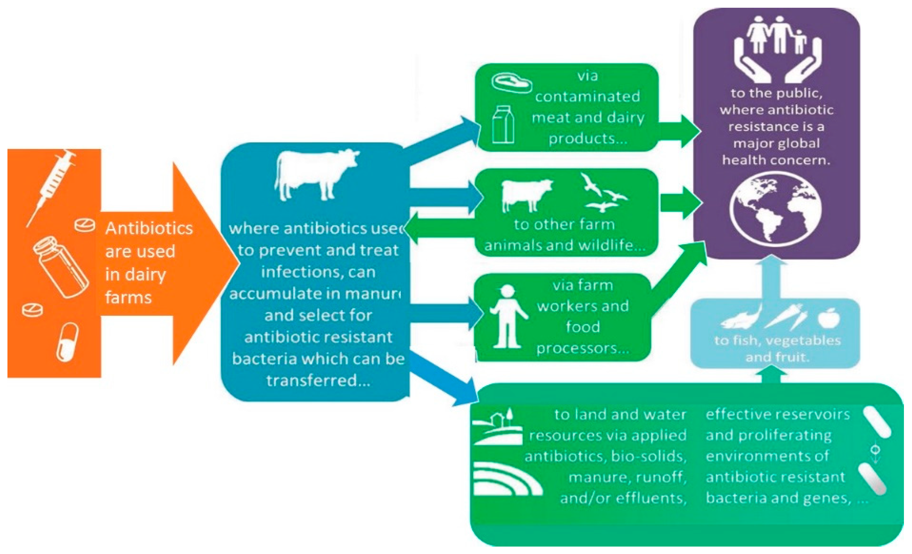 Dairy Free FullText Antibiotics in Dairy Production Where Is the Problem?