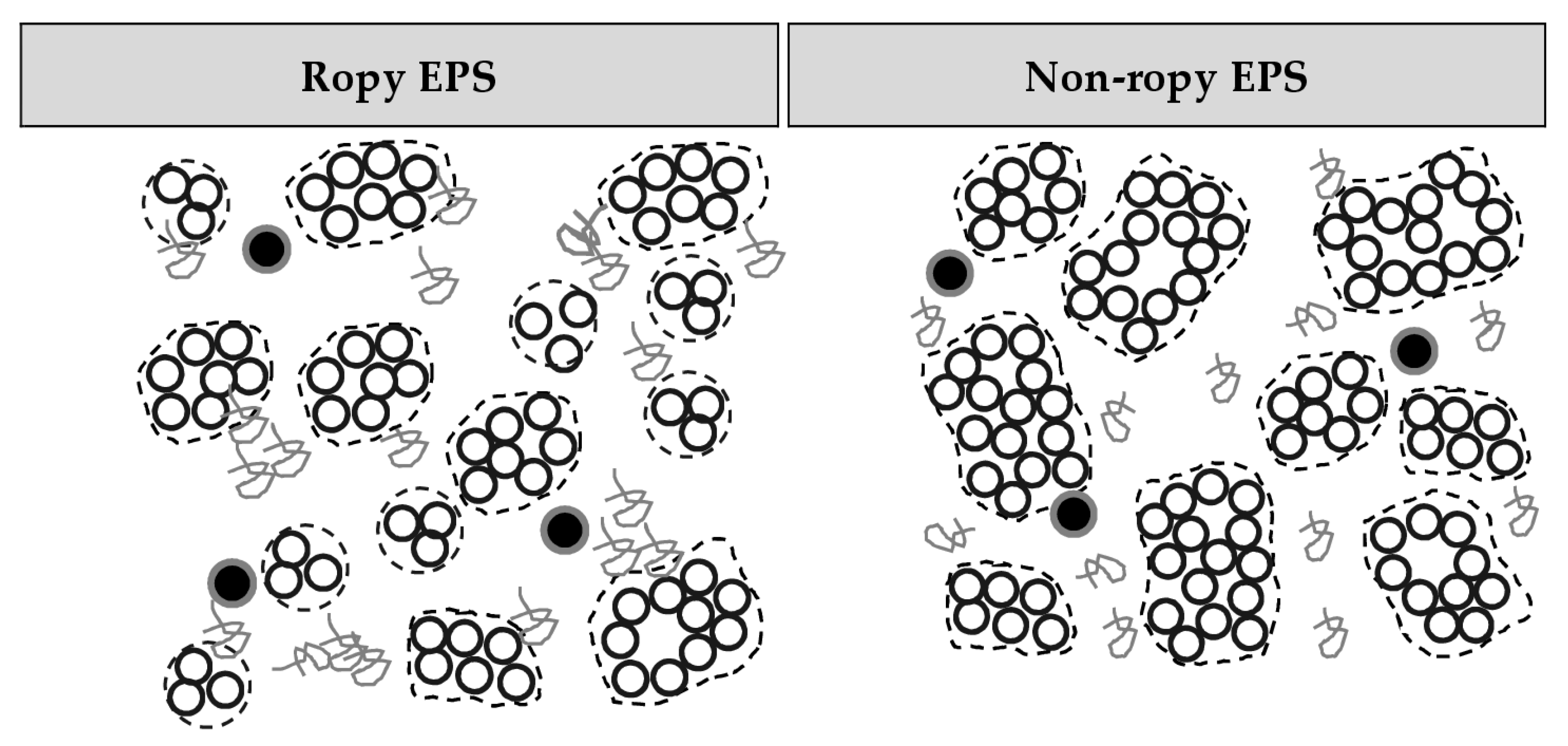 Dairy 03 00052 g008 Dairy 03 00052 g008