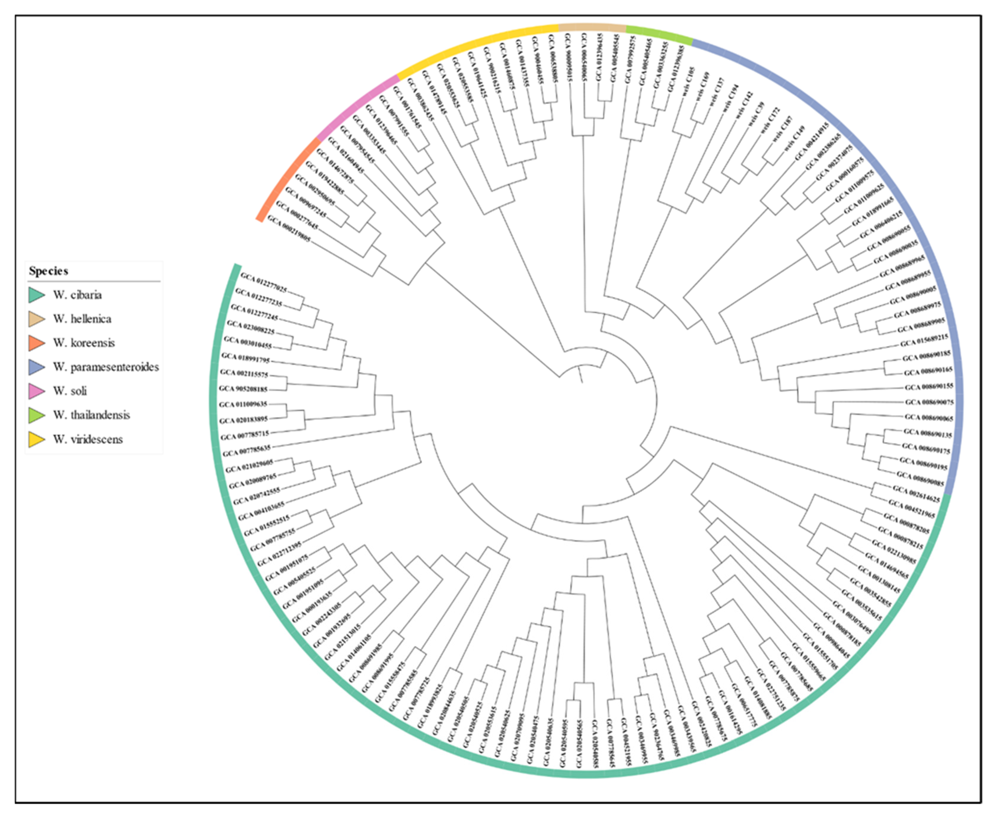 Dairy 03 00055 g002 Dairy 03 00055 g002