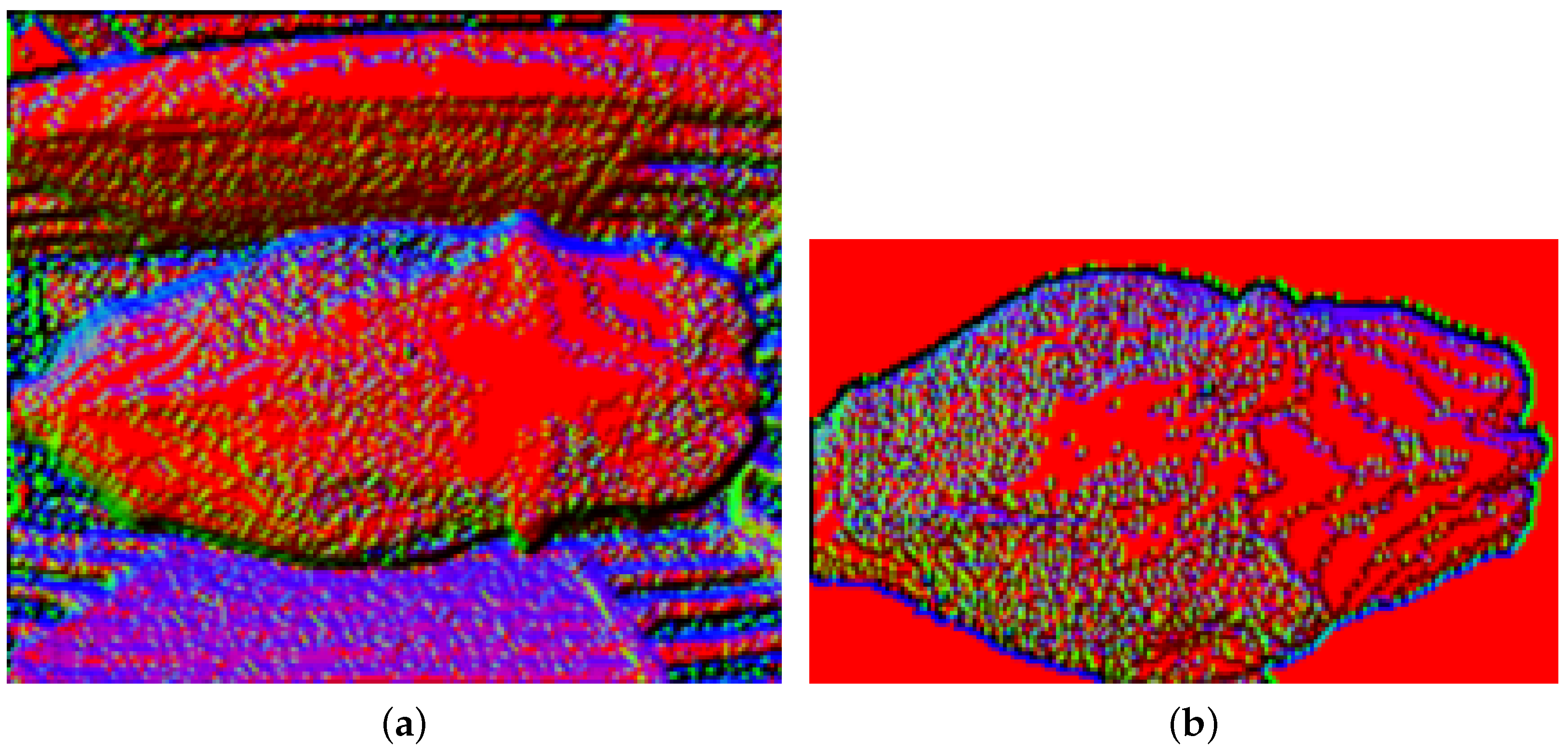 Dairy Free FullText Two and ThreeDimensional Computer Vision