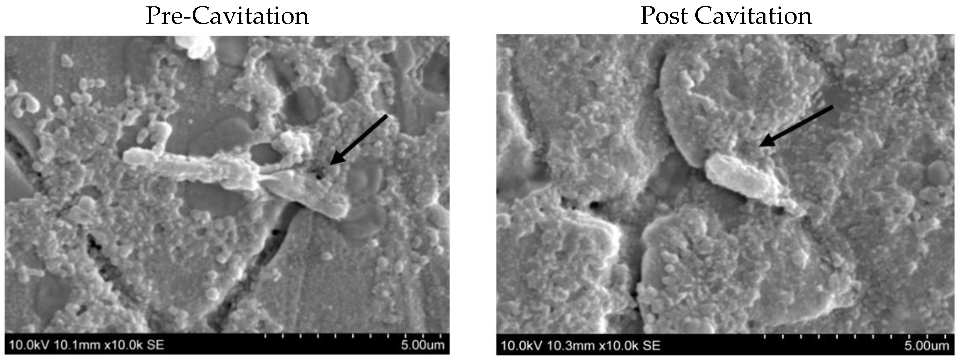 Dairy 04 00007 g002 Dairy 04 00007 g002