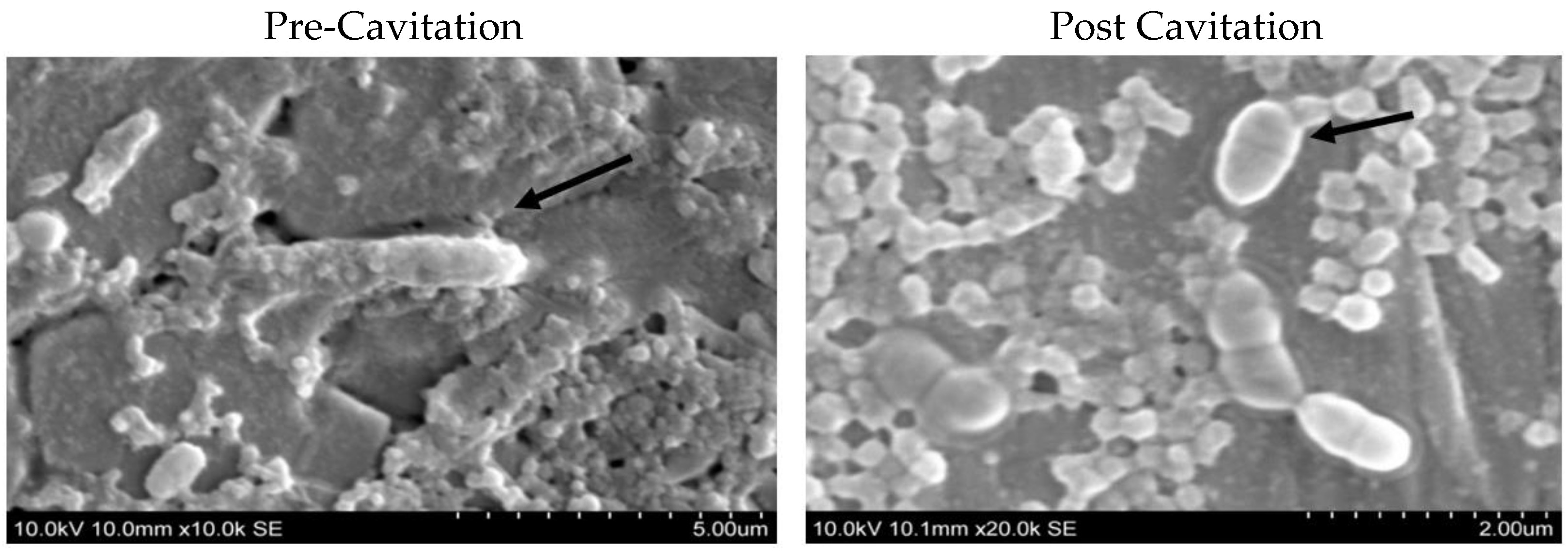 Dairy 04 00007 g003 Dairy 04 00007 g003