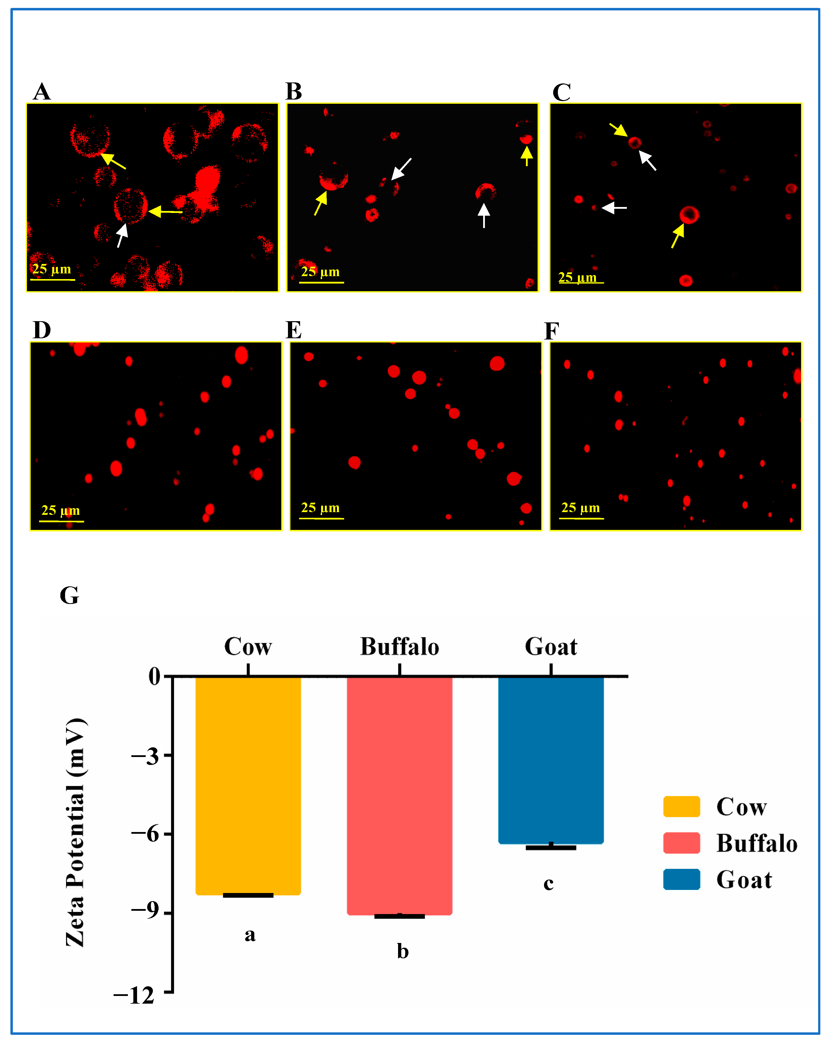Dairy 04 00014 g005 Dairy 04 00014 g005