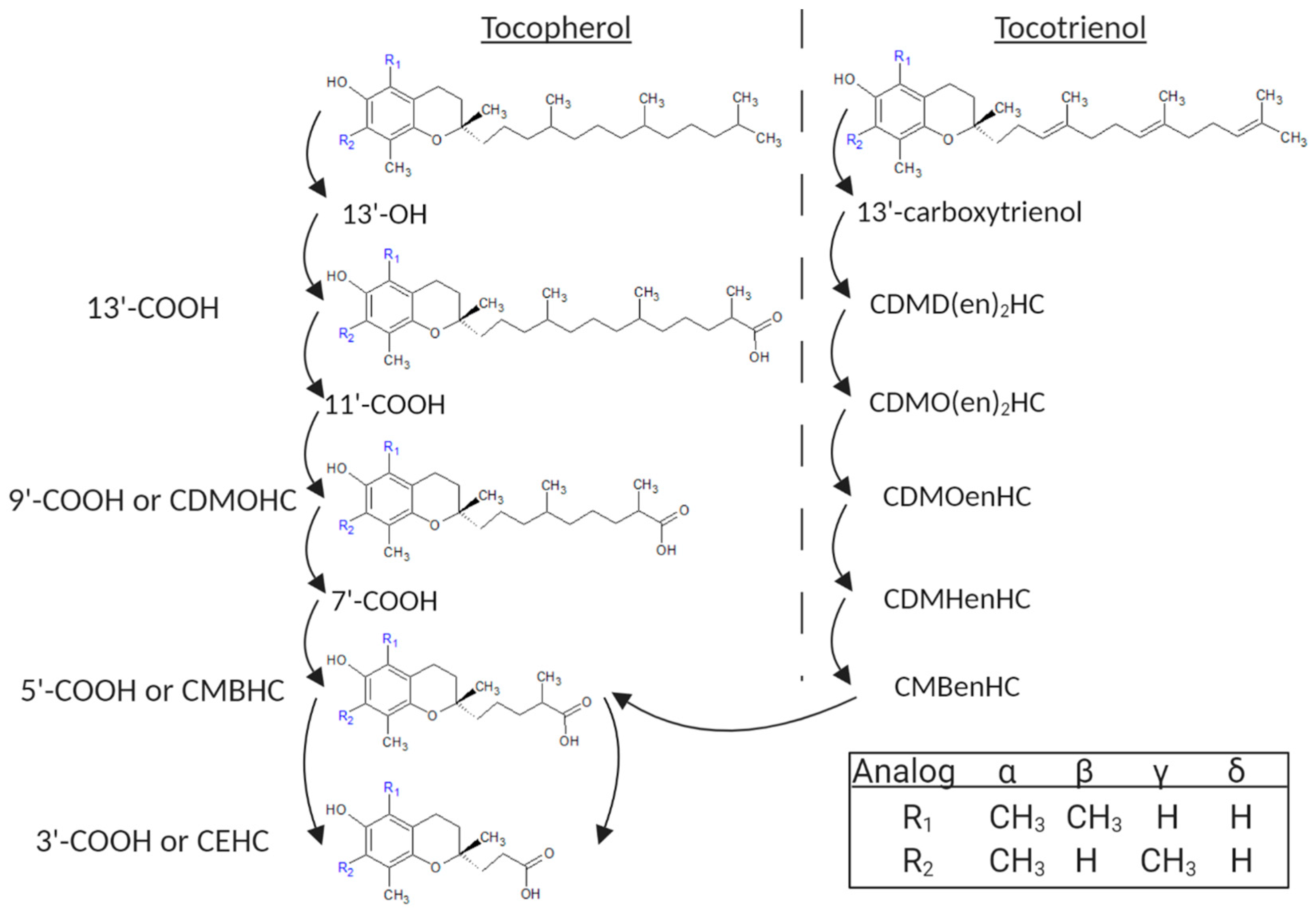 Dairy 04 00020 g001 Dairy 04 00020 g001
