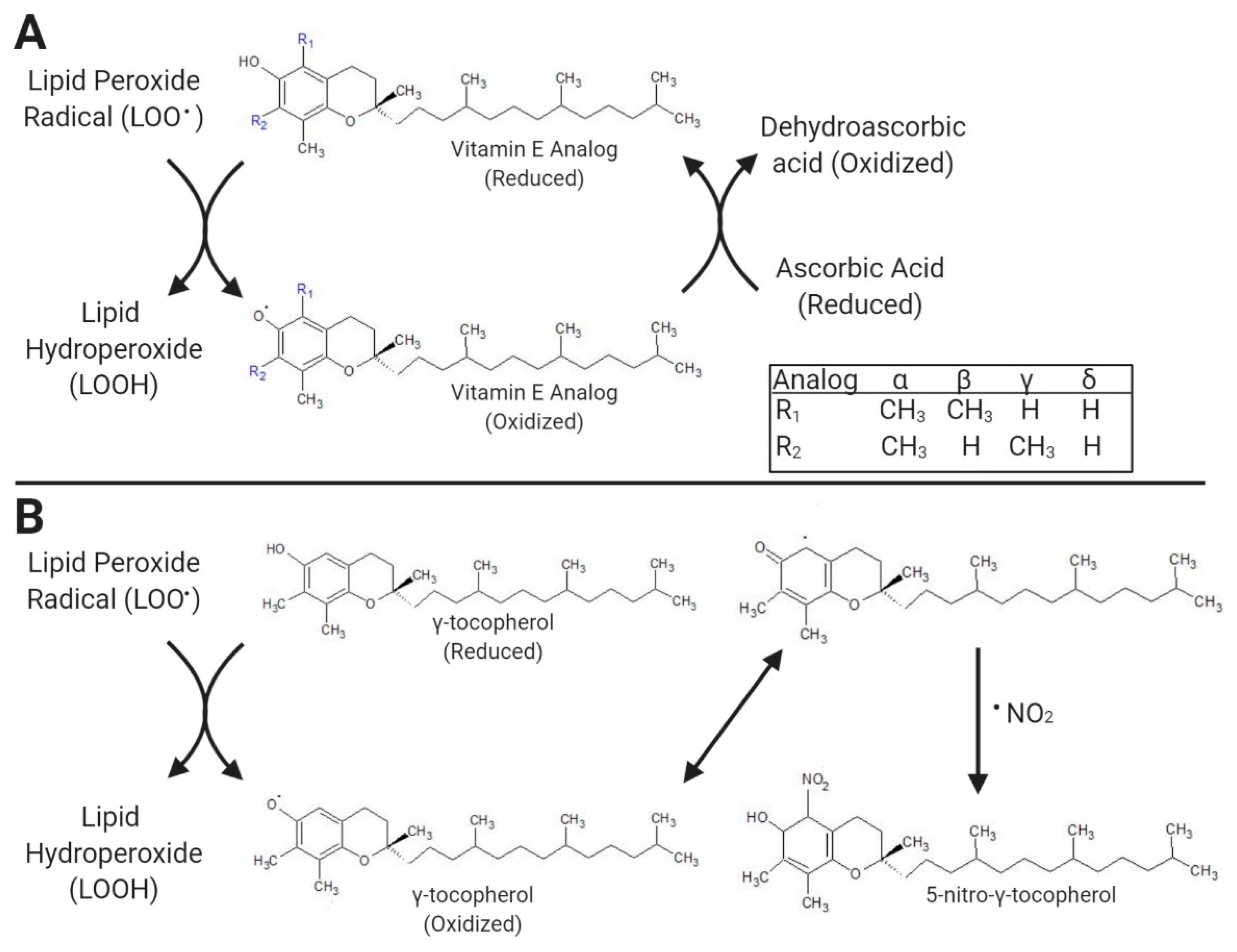 Dairy 04 00020 g002 Dairy 04 00020 g002