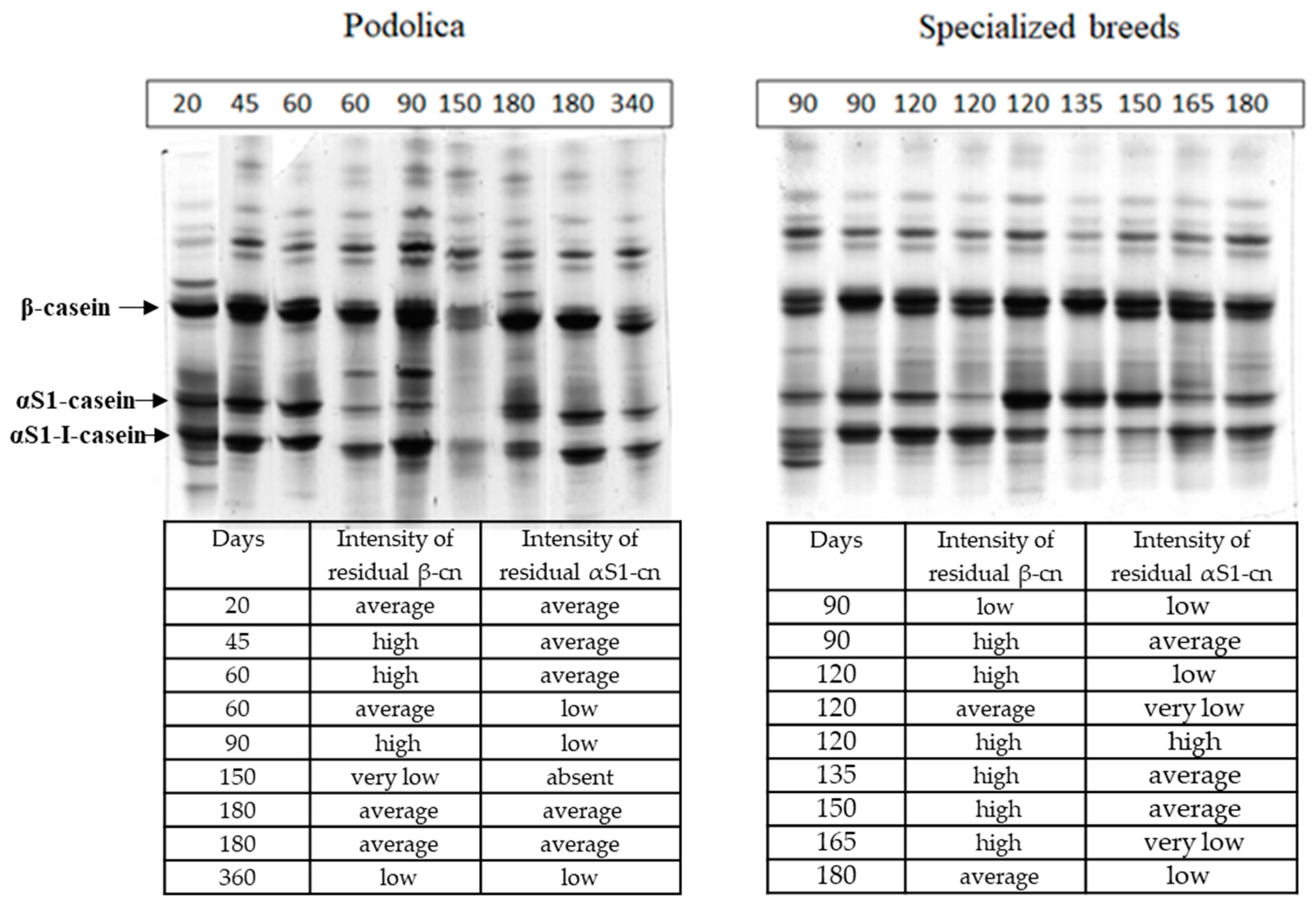 Dairy 04 00032 g005 Dairy 04 00032 g005