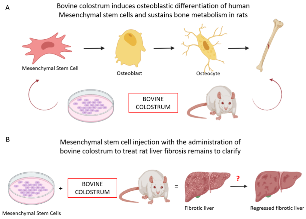 Dairy 05 00014 g001 Dairy 05 00014 g001