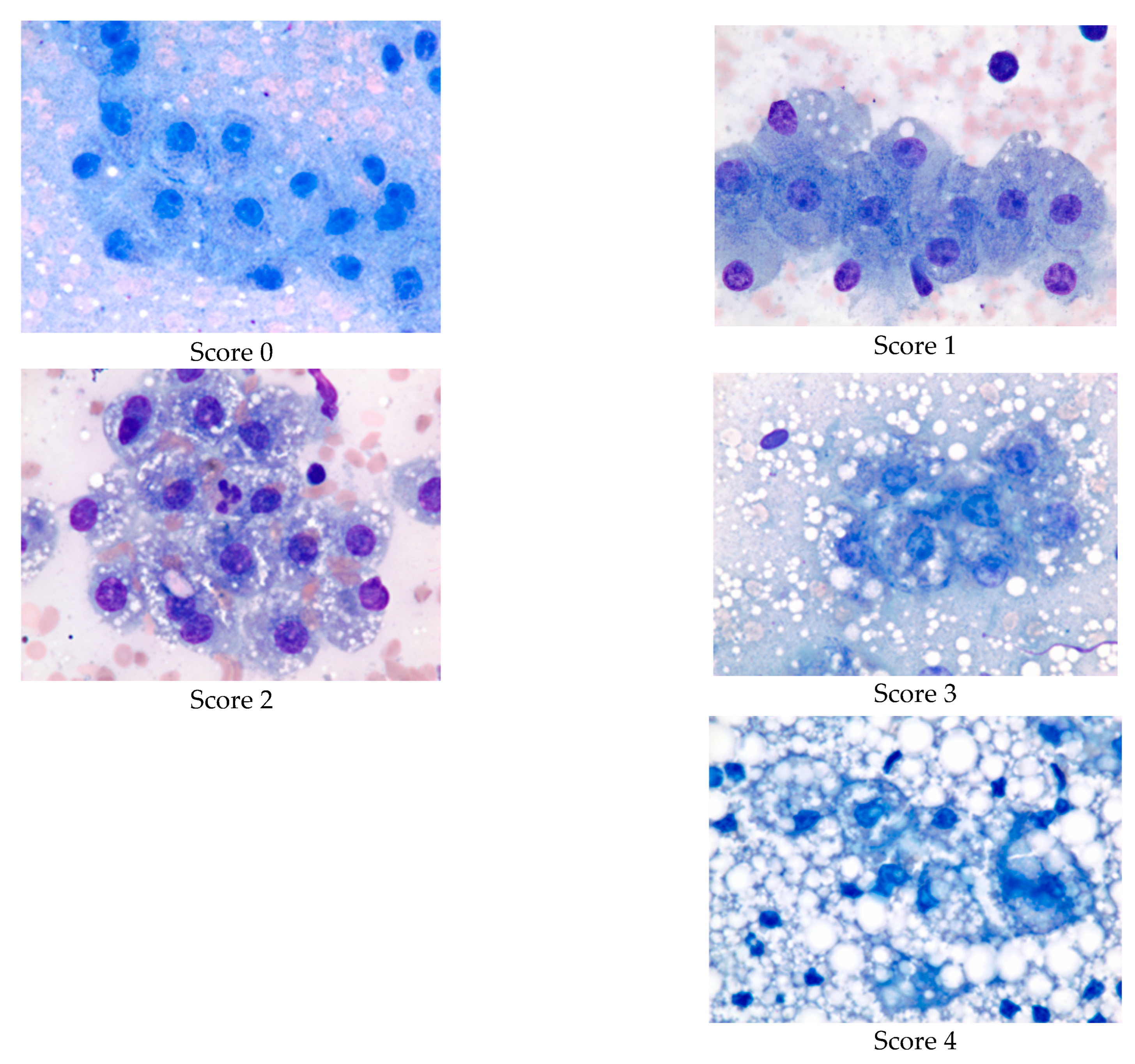 Dairy 05 00050 g001 Dairy 05 00050 g001