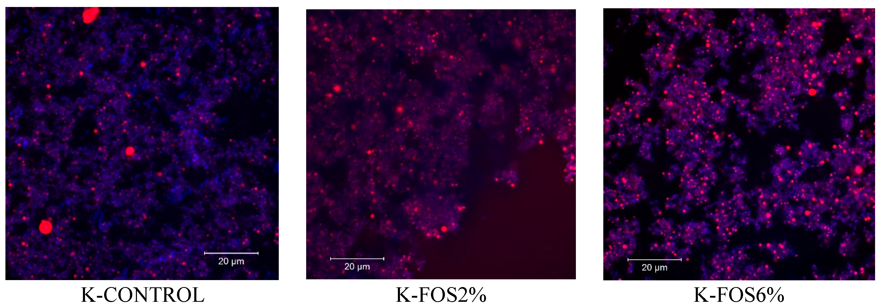 Dairy 06 00009 g009a