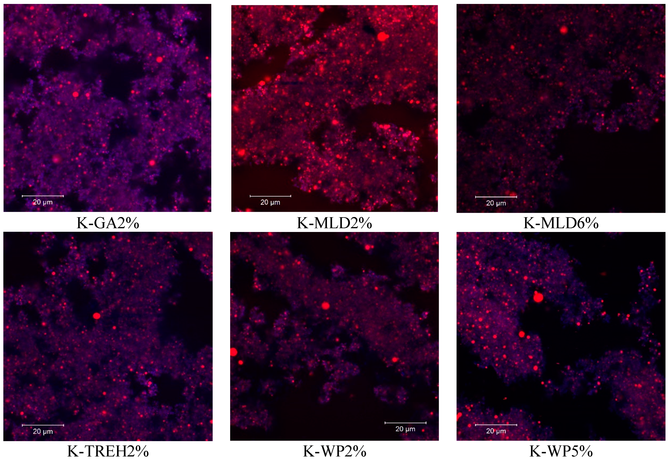 Dairy 06 00009 g009b