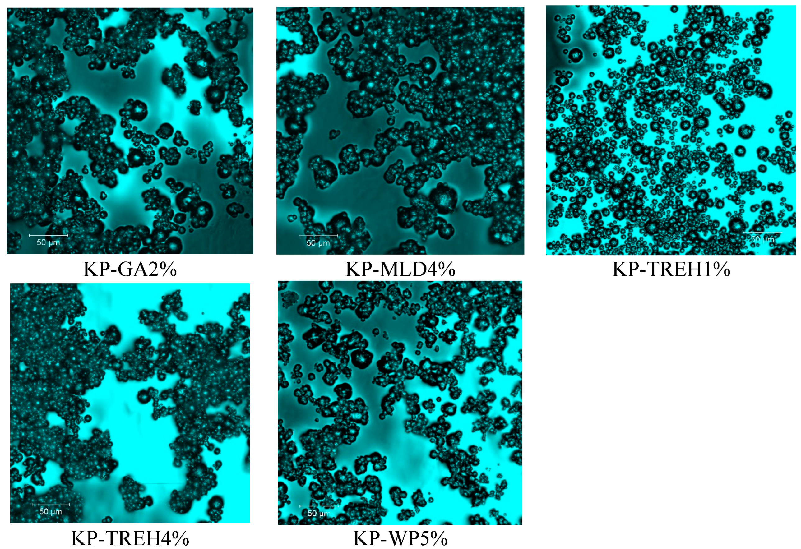 Dairy 06 00009 g010b