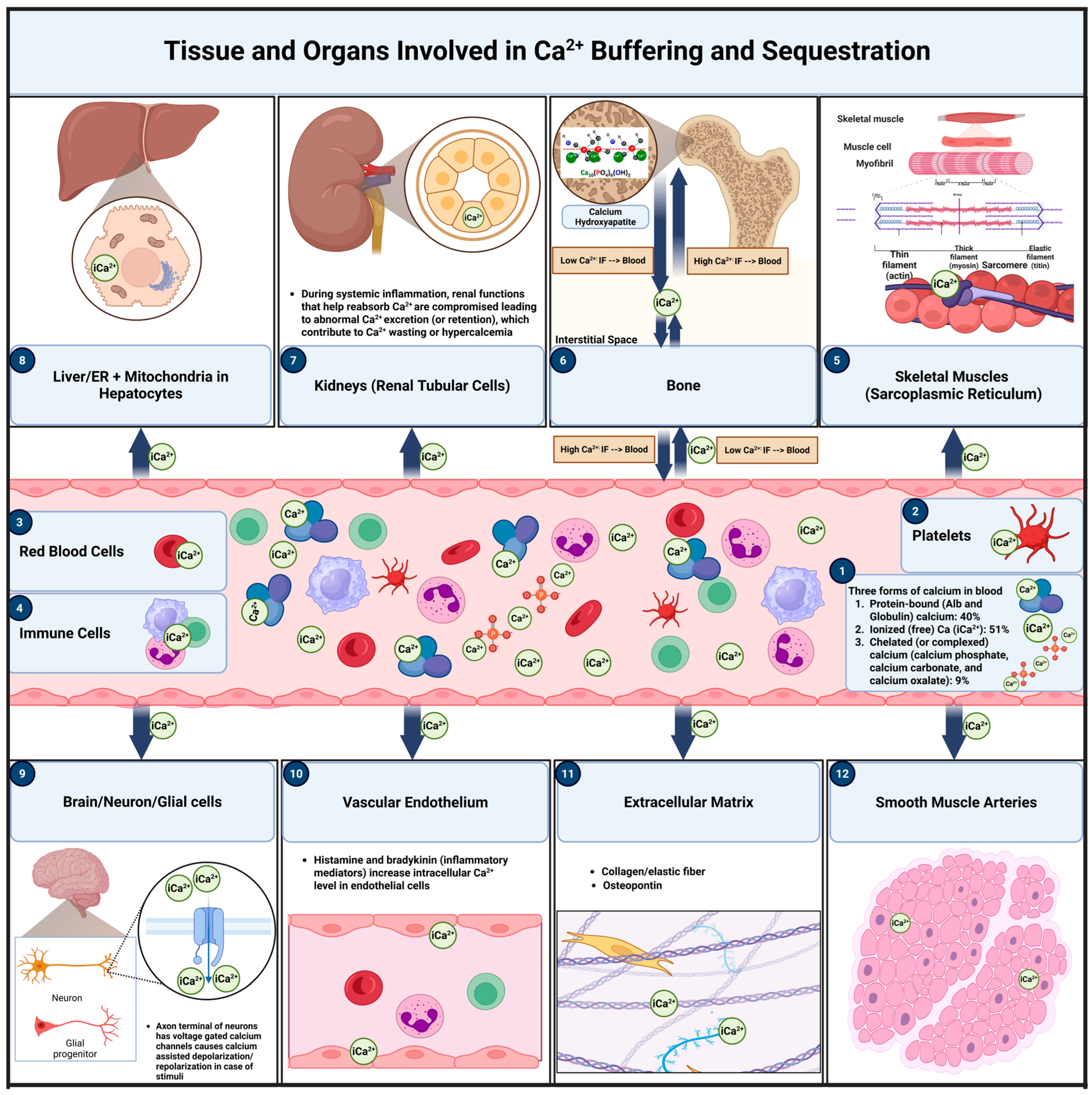 Dairy 06 00022 g003 Dairy 06 00022 g003