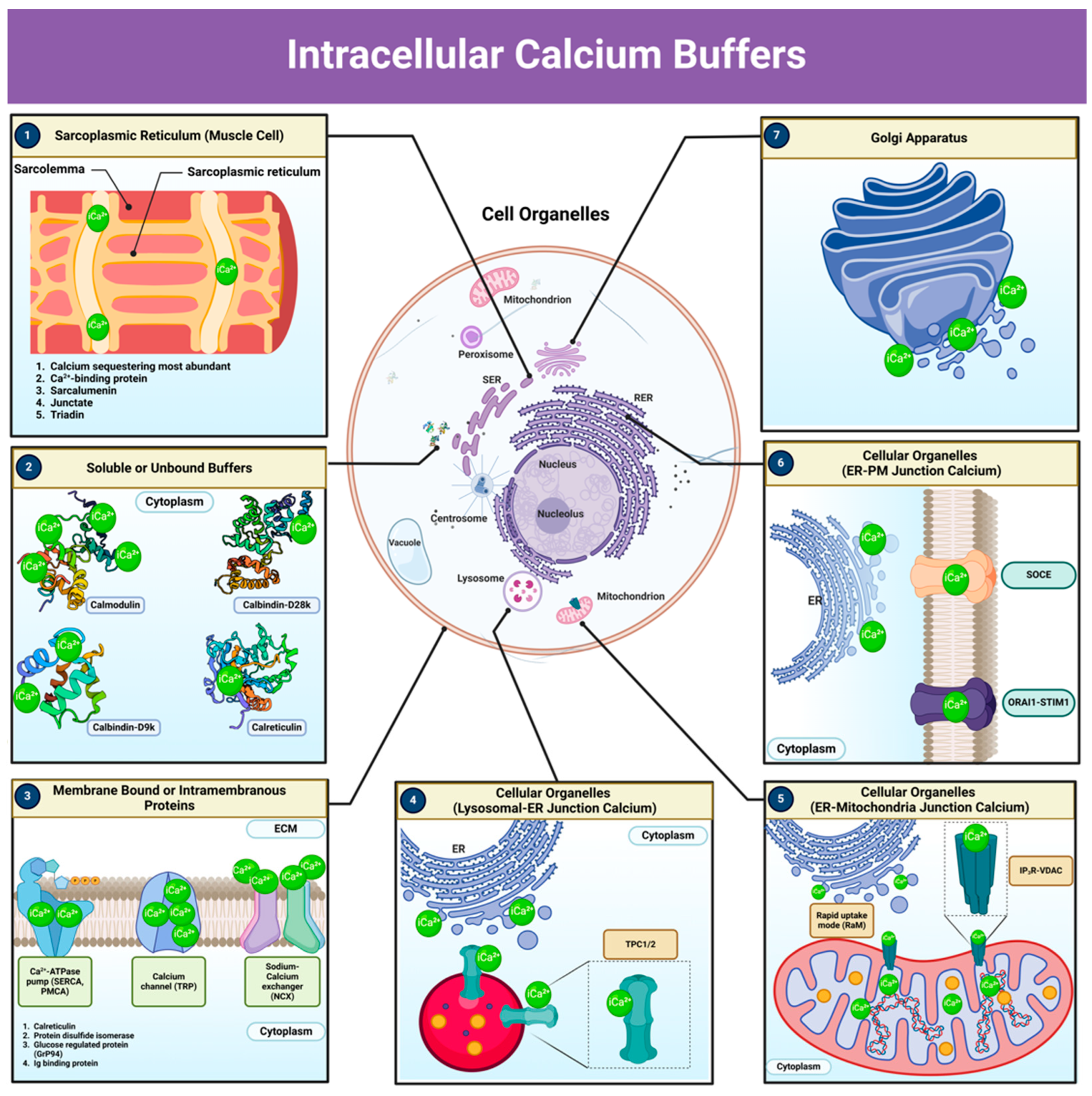 Dairy 06 00022 g004 Dairy 06 00022 g004