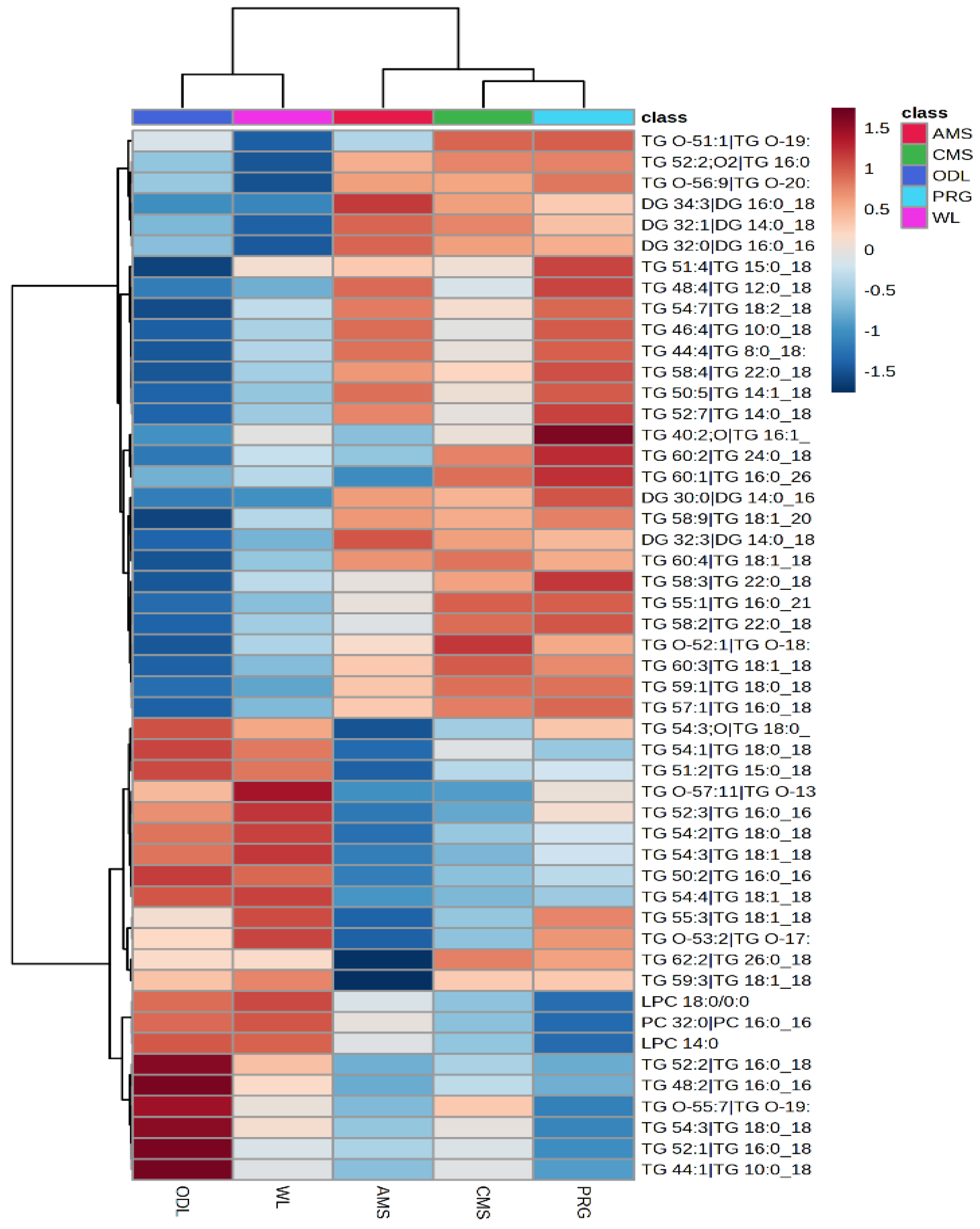 Dairy 06 00033 g003a