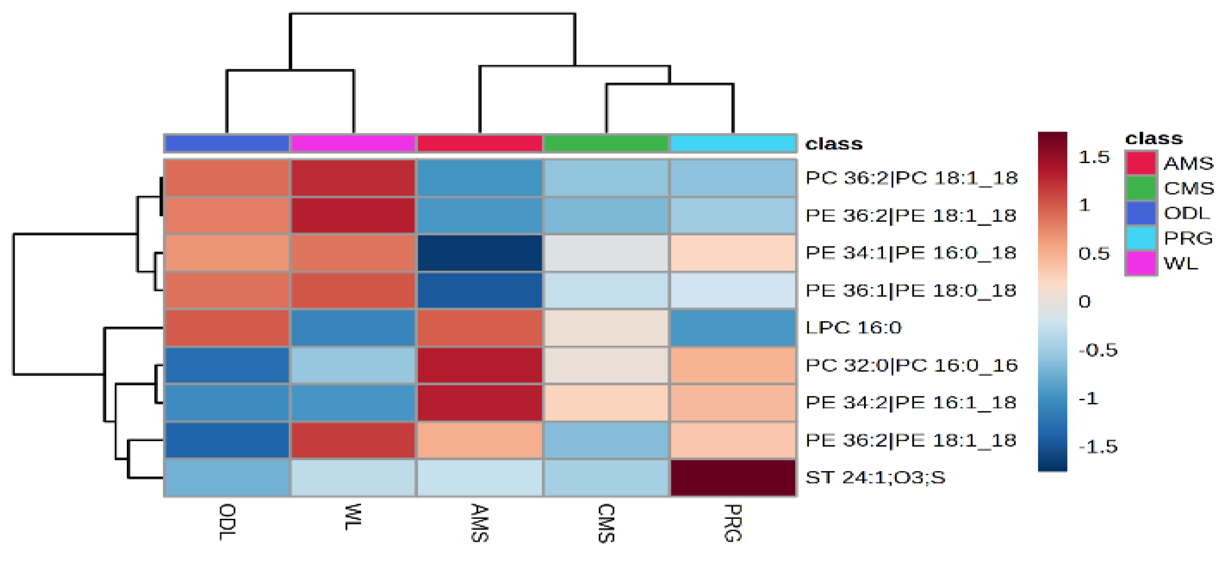 Dairy 06 00033 g003b