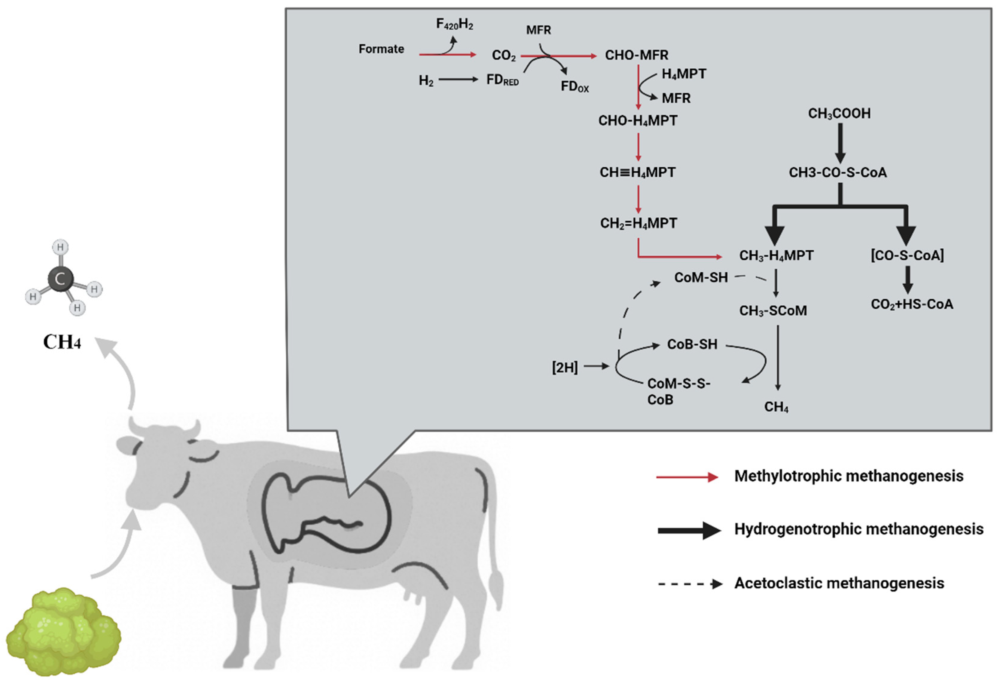 Dairy 06 00048 g002 Dairy 06 00048 g002