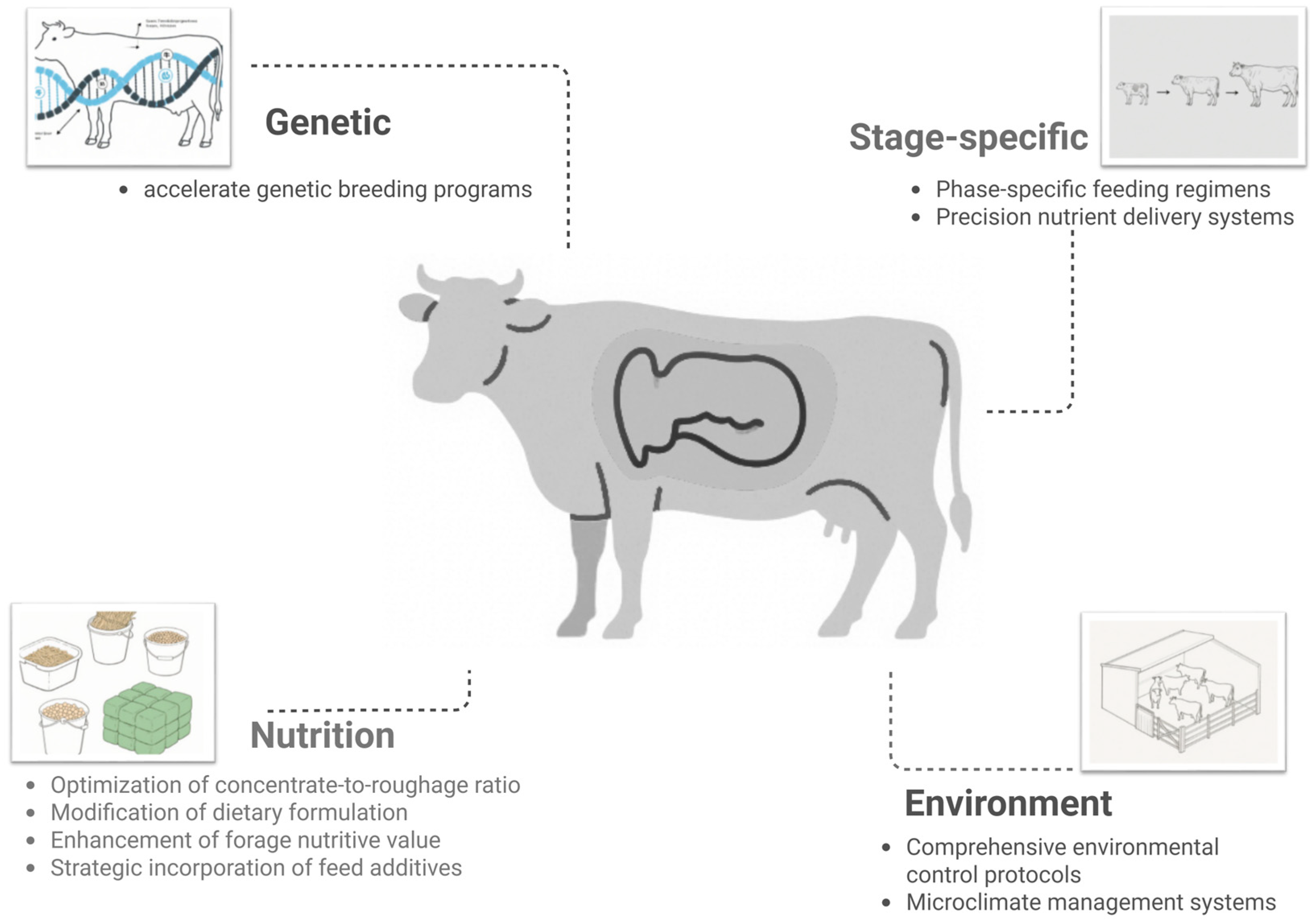 Dairy 06 00048 g003 Dairy 06 00048 g003