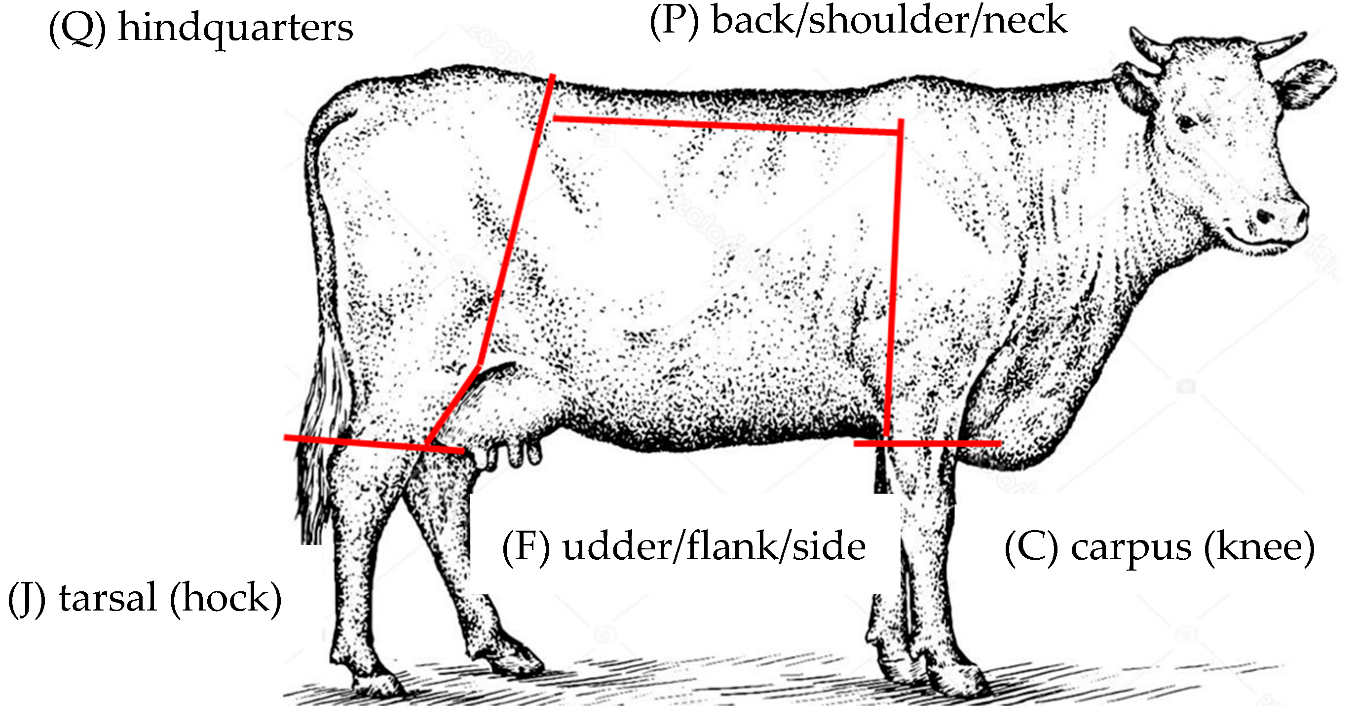 Dairy 07 00028 g001