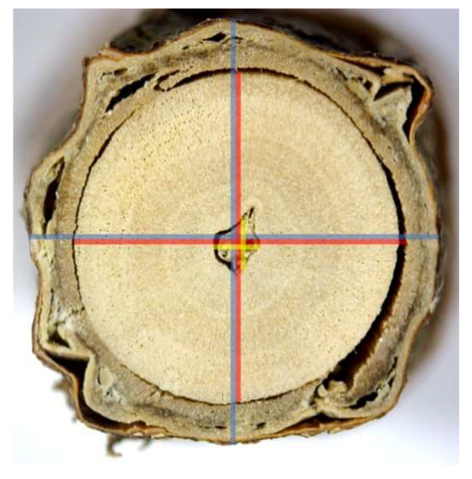 Data 03 00016 g004