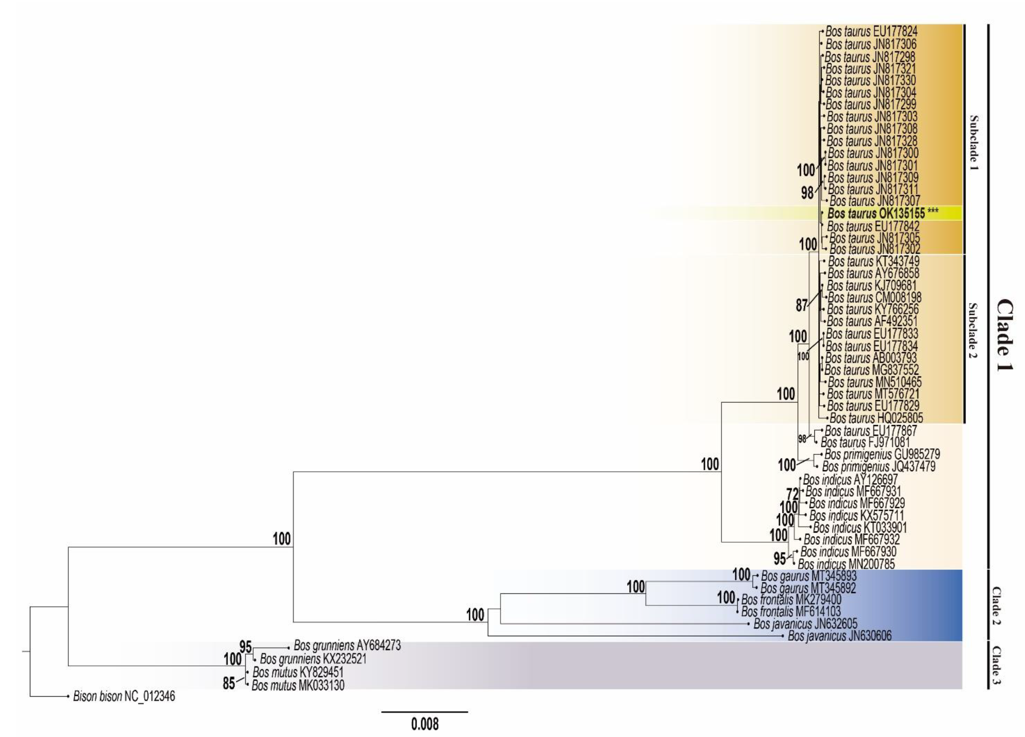 The Complete Mitochondrial Genome of a Neglected Breed, the