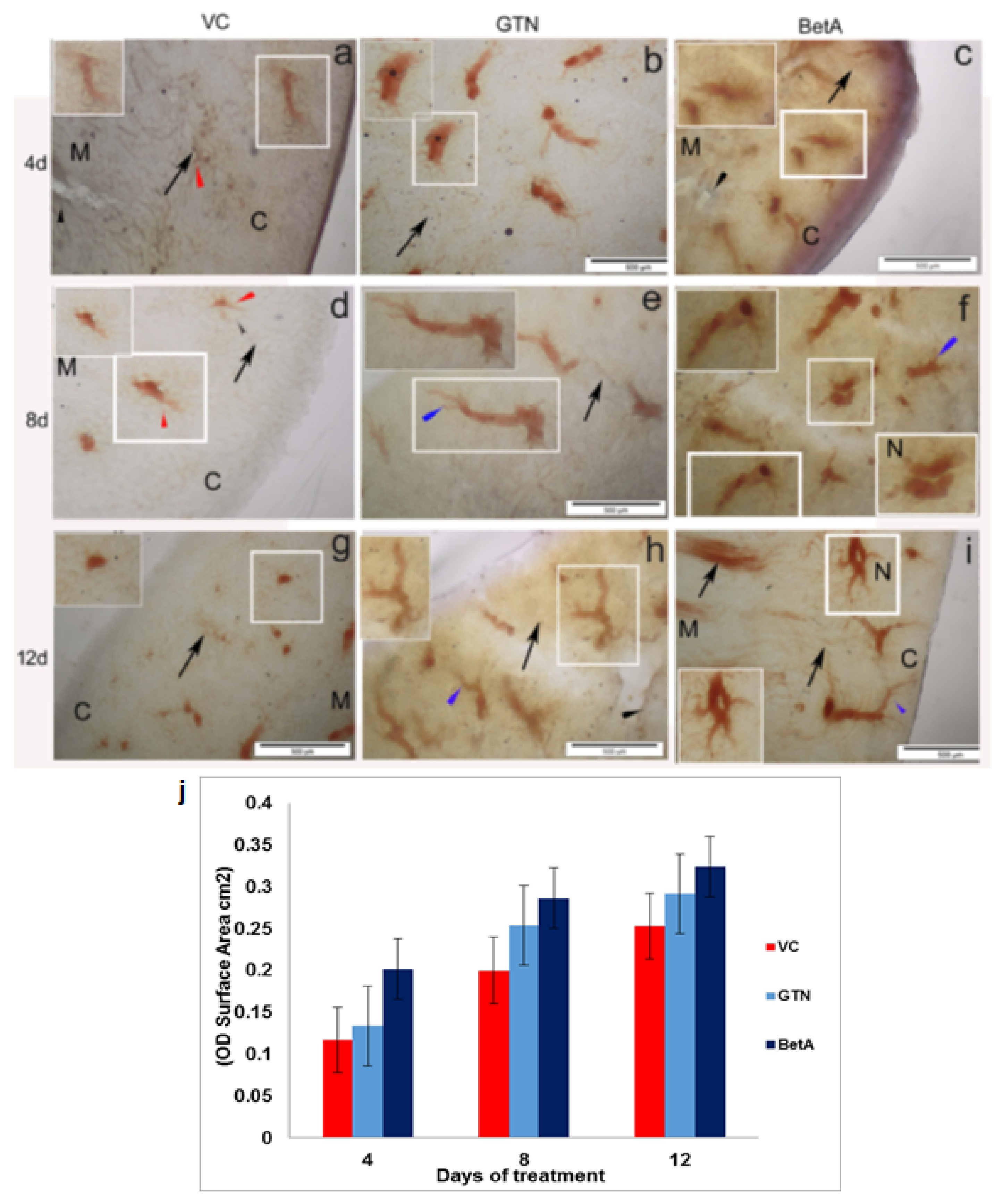 Ddc 02 00004 g002 Ddc 02 00004 g002