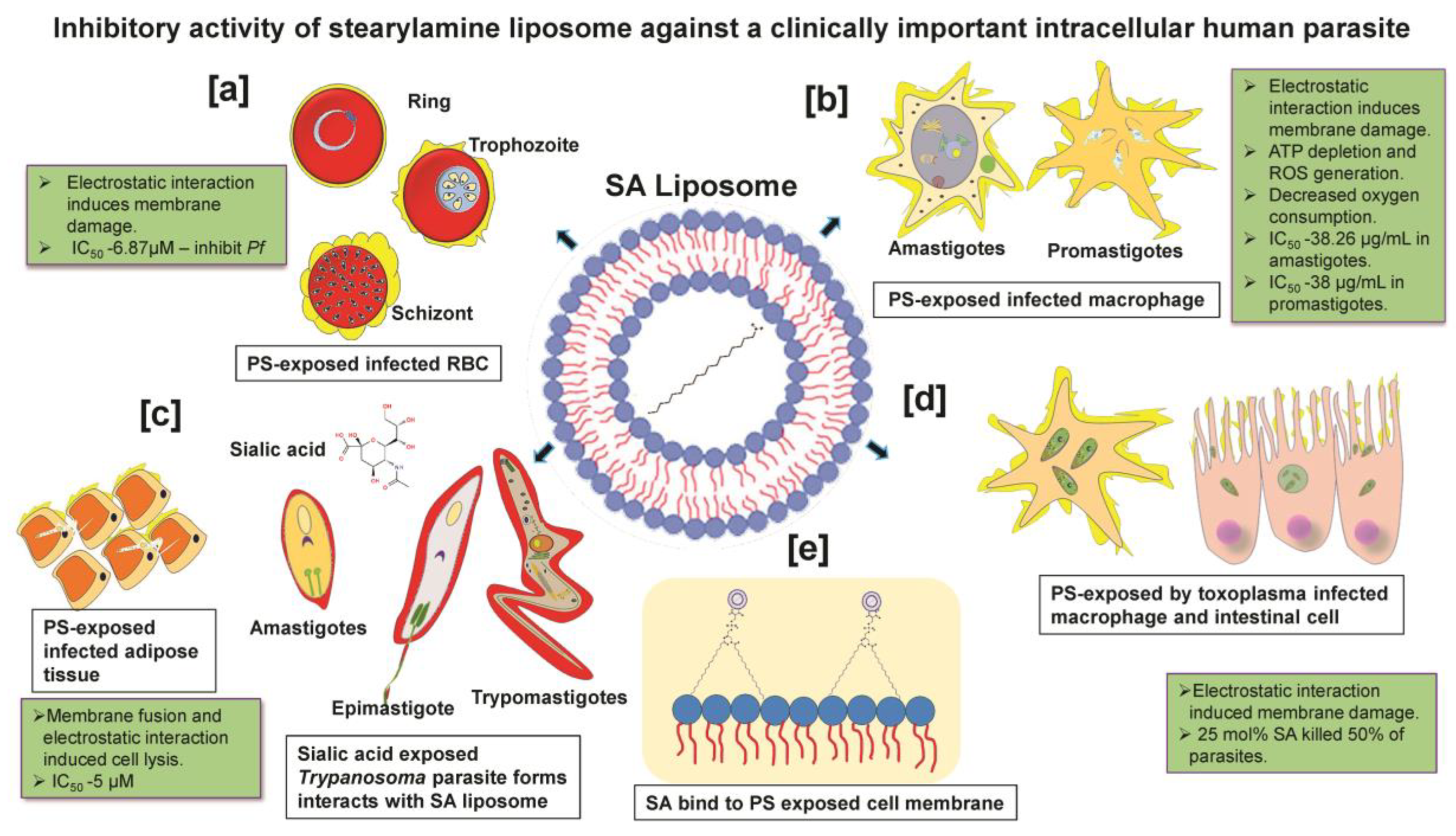 Ddc 02 00006 g002 Ddc 02 00006 g002