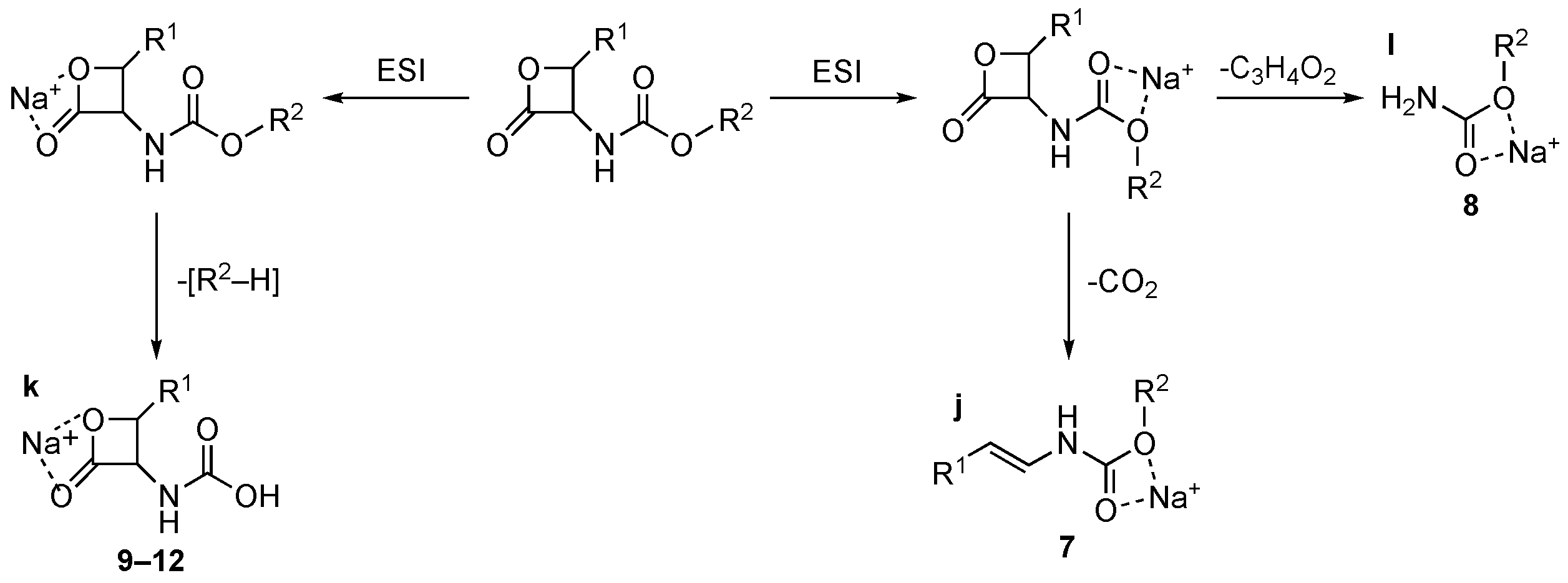 Ddc 02 00007 sch004 Ddc 02 00007 sch004