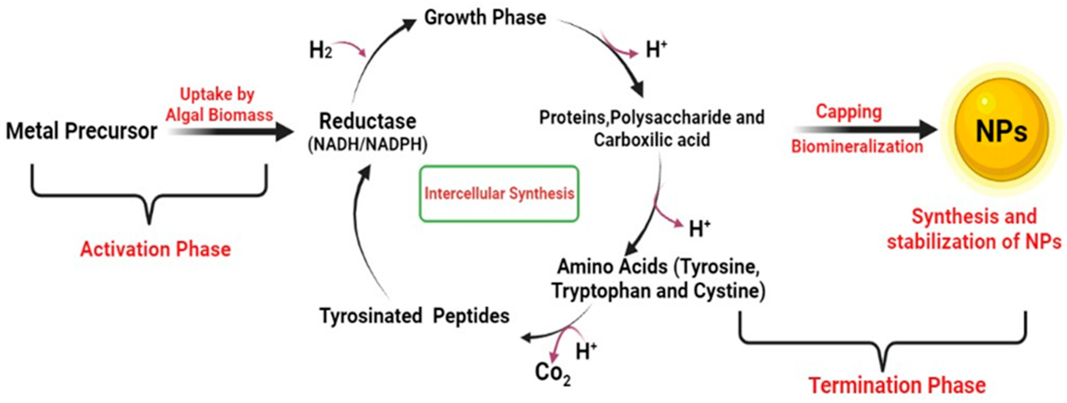 Ddc 02 00029 g002 Ddc 02 00029 g002