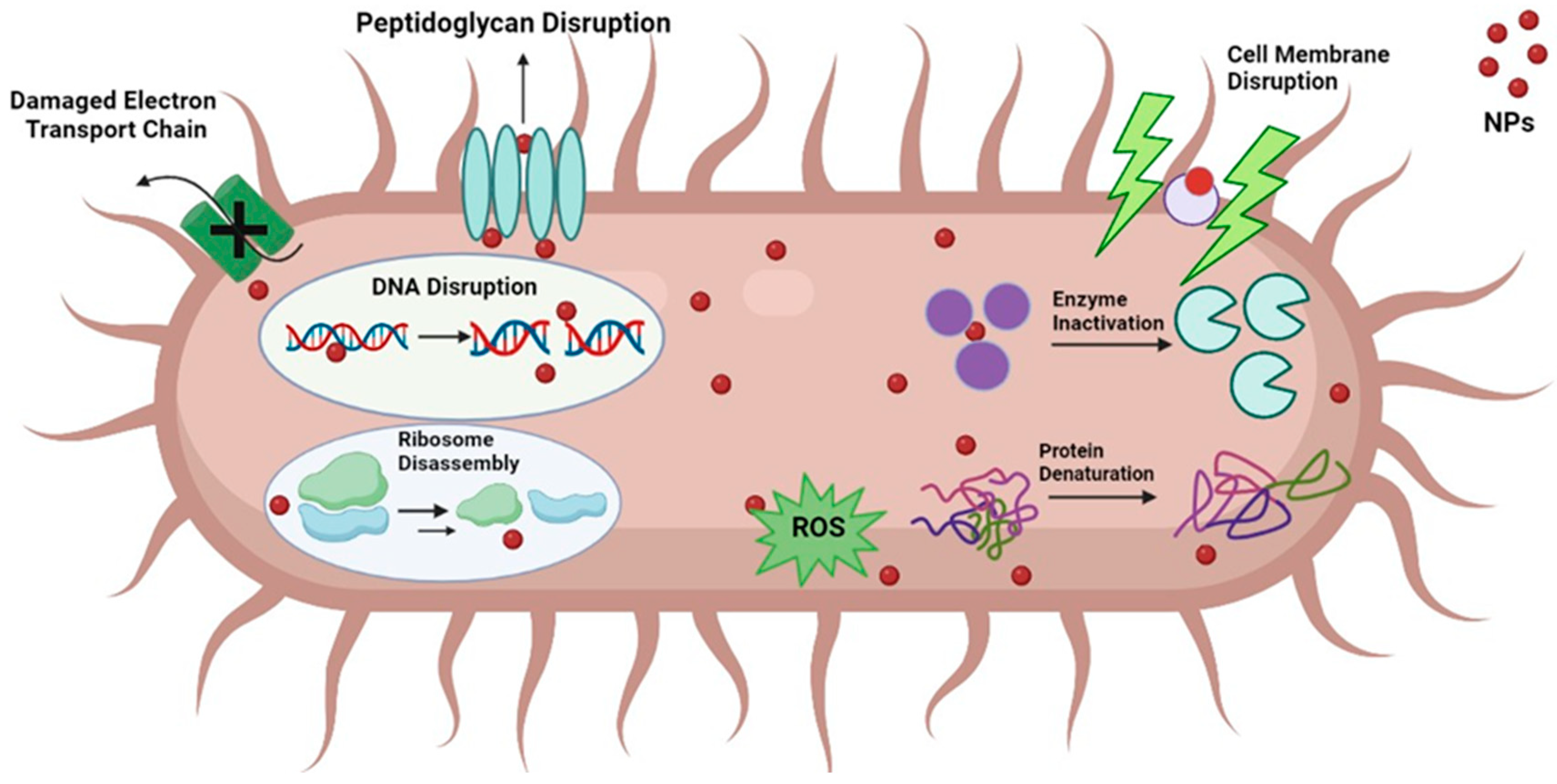 Ddc 02 00029 g004 Ddc 02 00029 g004