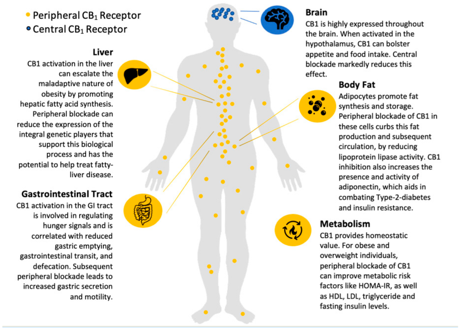 Ddc 02 00035 g005 Ddc 02 00035 g005