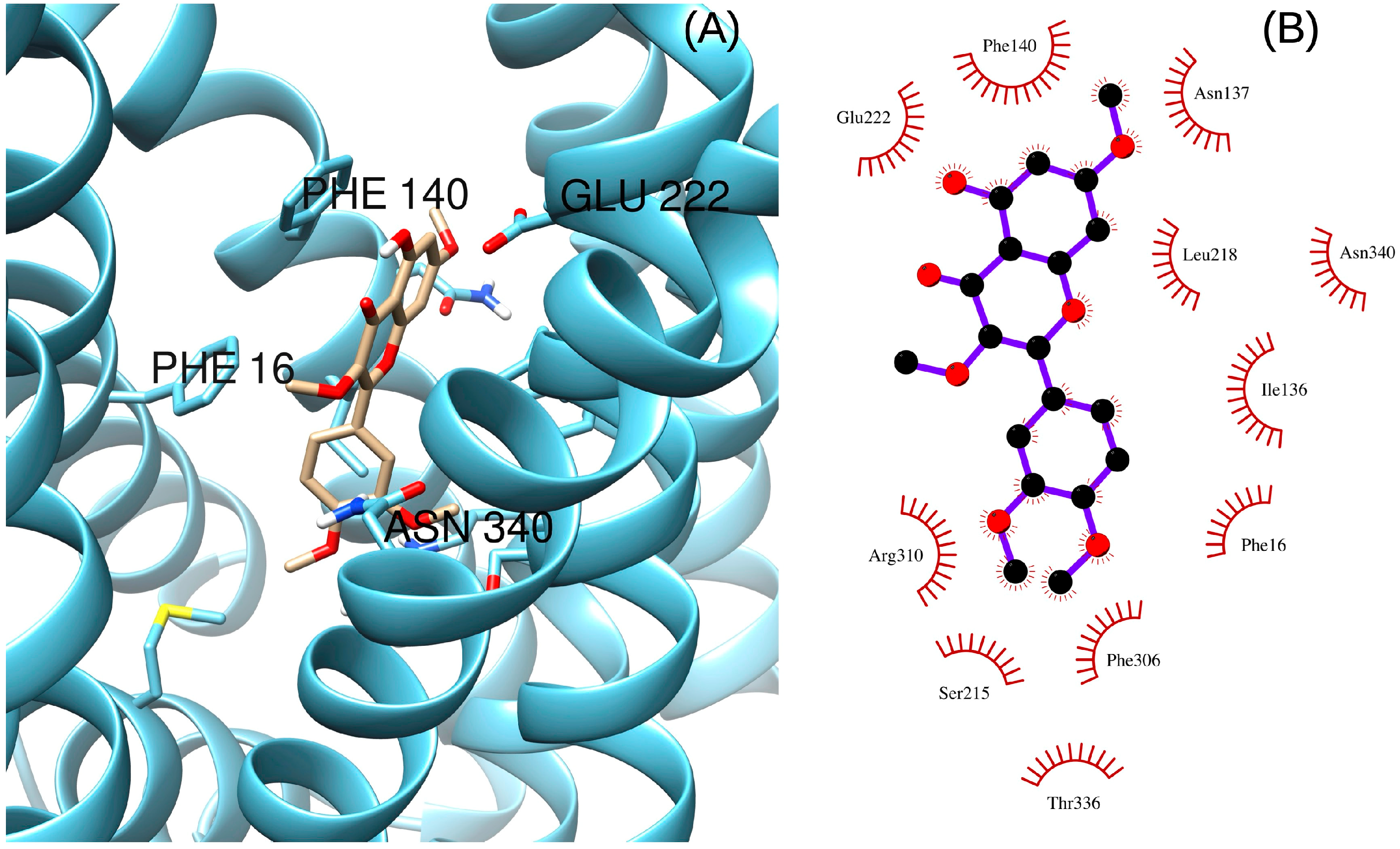 Ddc 03 00001 g003 Ddc 03 00001 g003