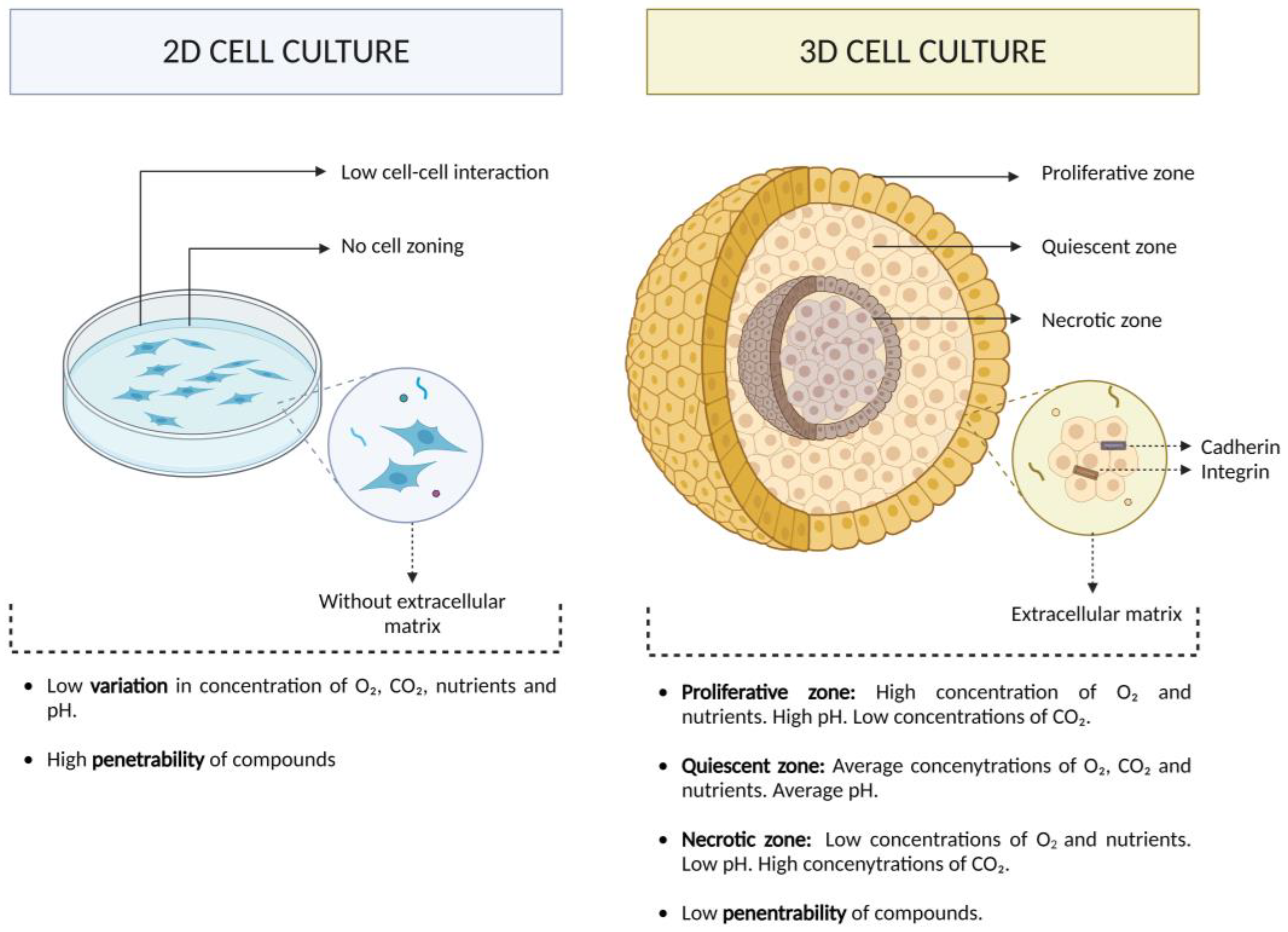 Two-Dimensional and Spheroid-Based Three-Dimensional Cell