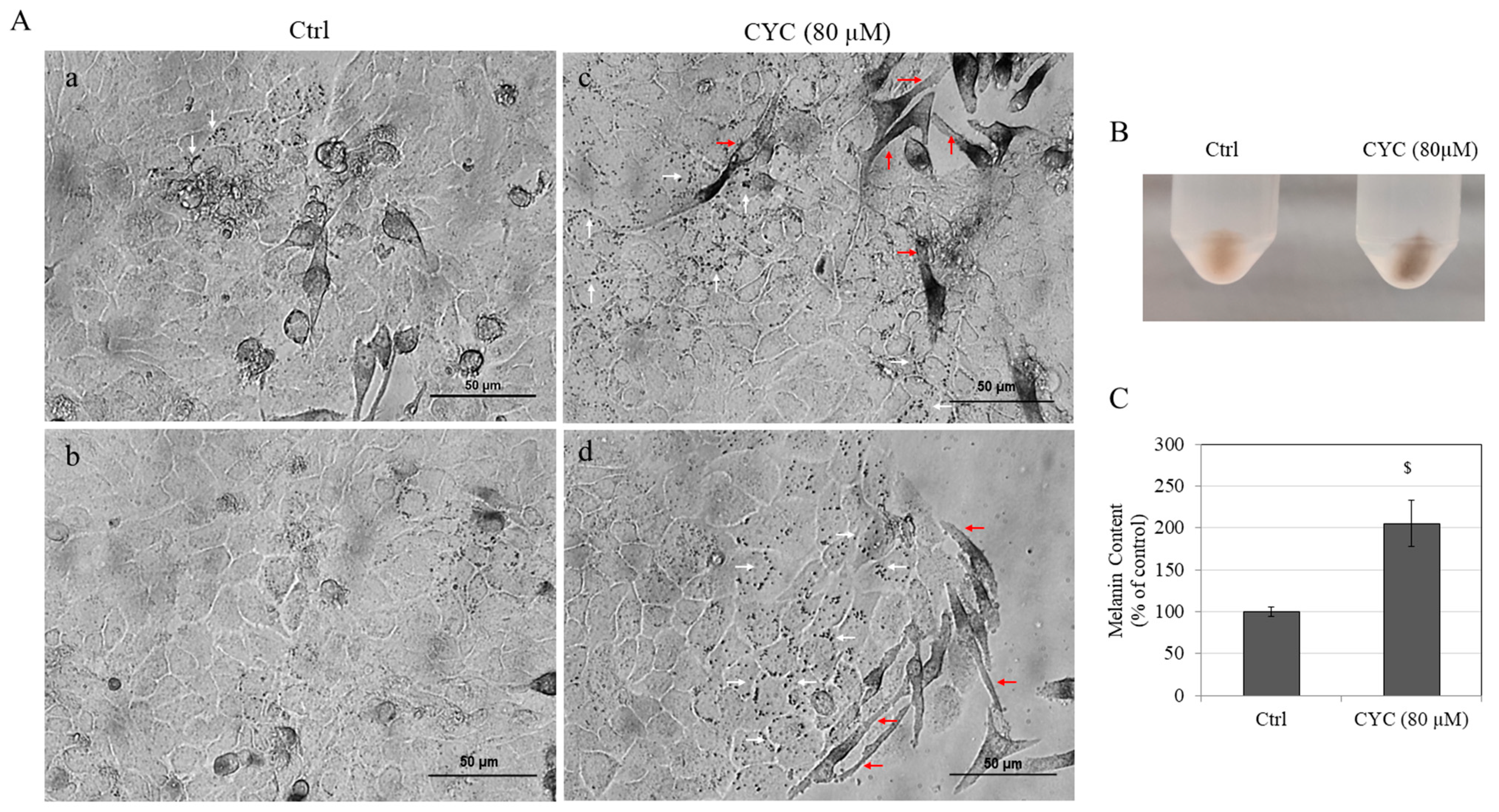 Ddc 03 00025 g007 Ddc 03 00025 g007