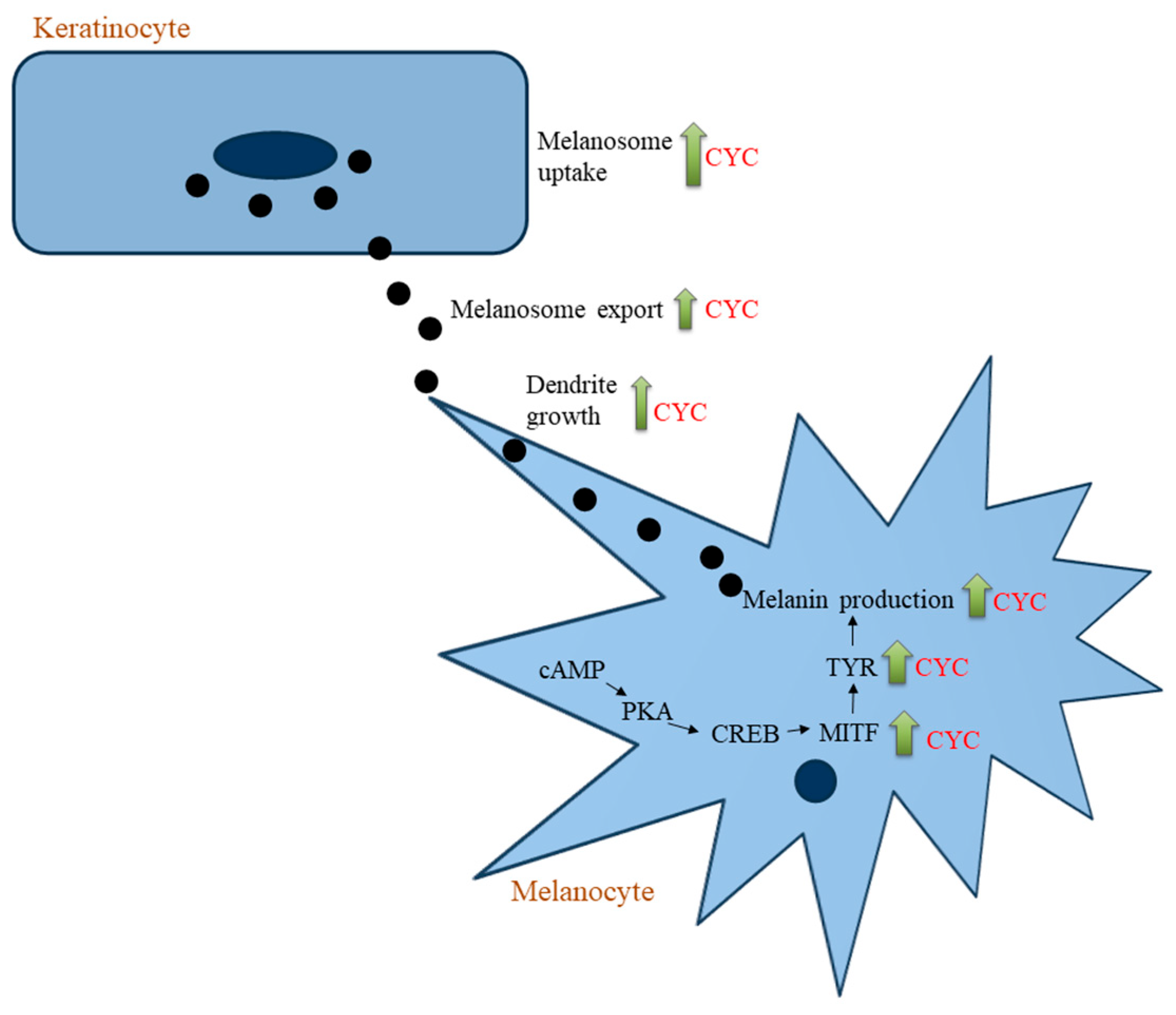 Ddc 03 00025 g009 Ddc 03 00025 g009