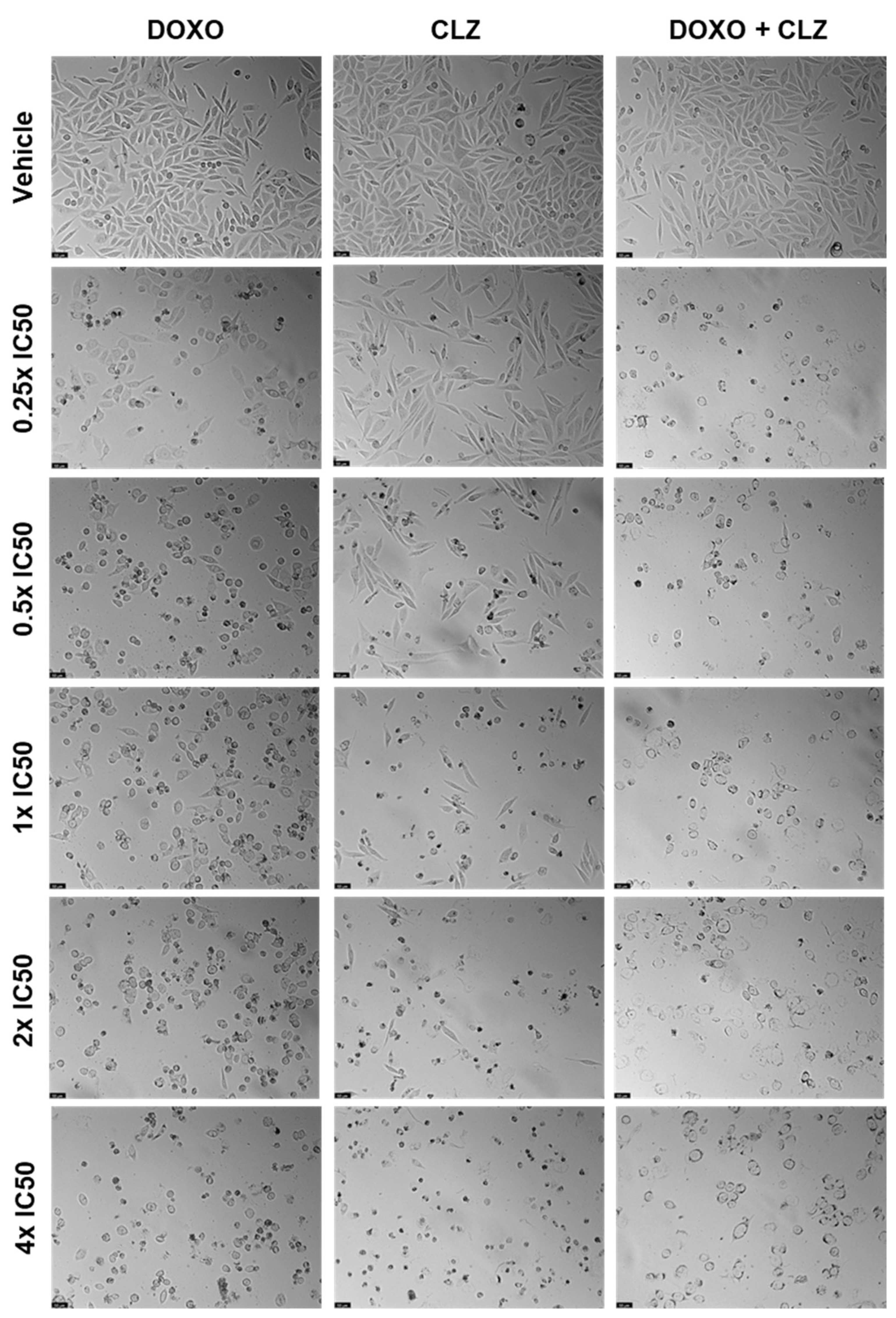 Ddc 03 00027 g004 Ddc 03 00027 g004