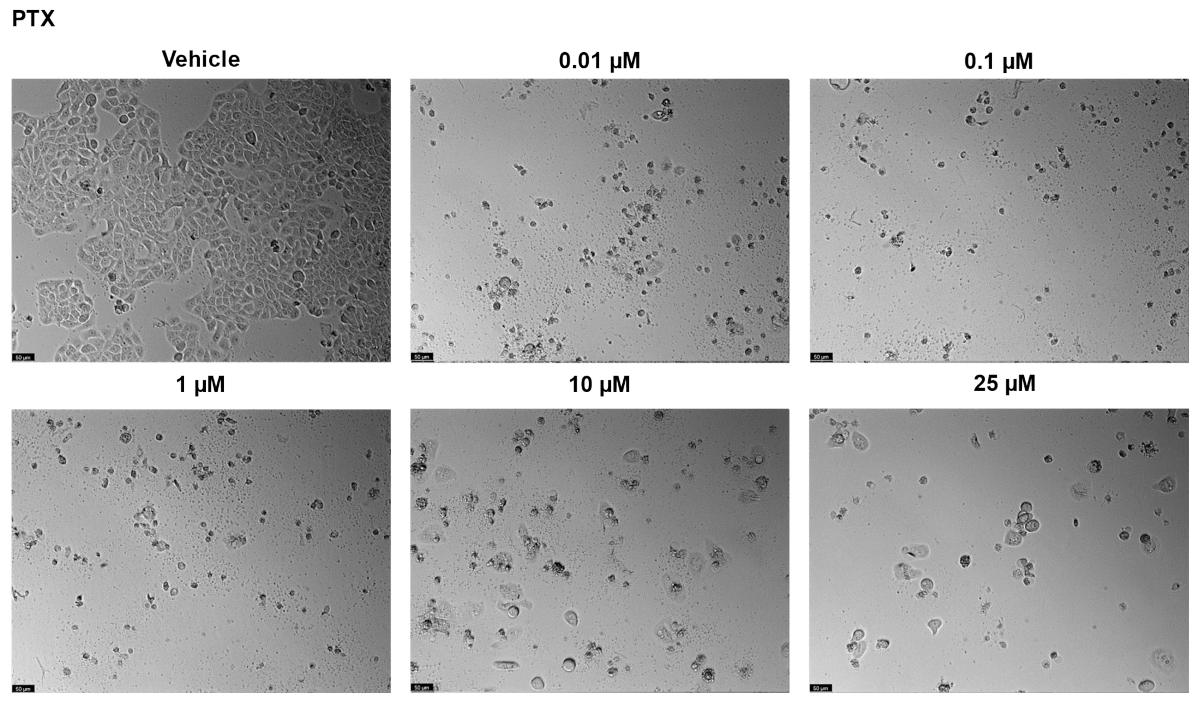 Ddc 03 00027 g007 Ddc 03 00027 g007